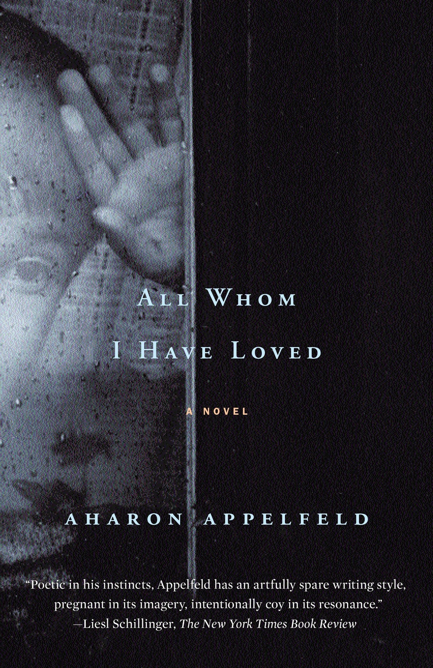 All Whom I Have Loved - A Novel