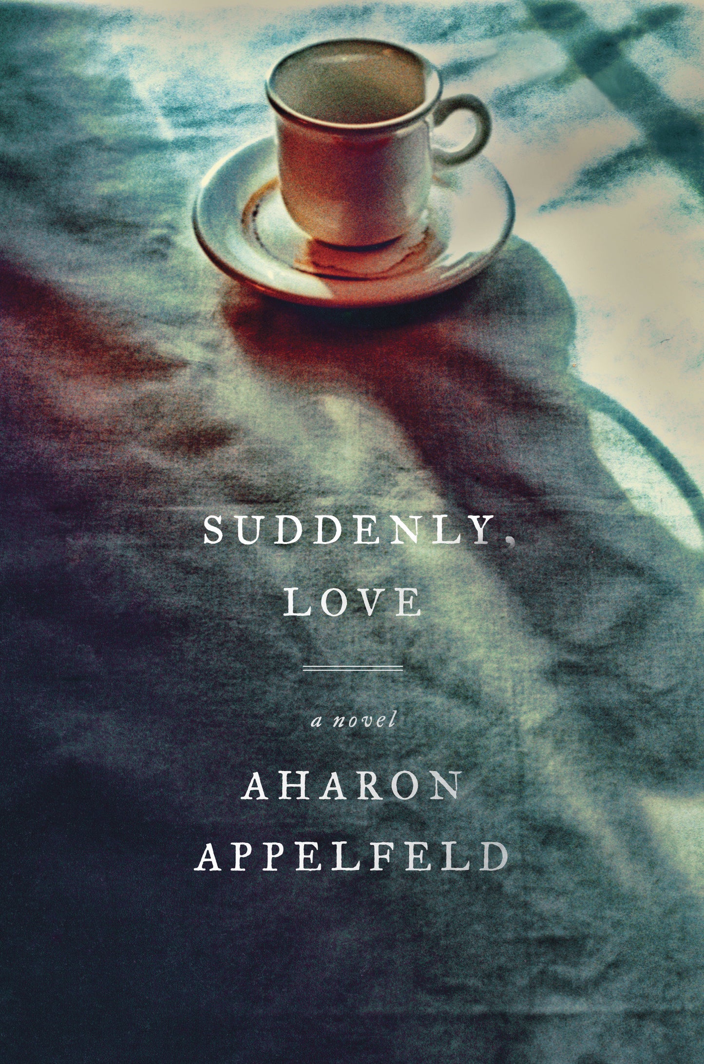Suddenly, Love - A Novel