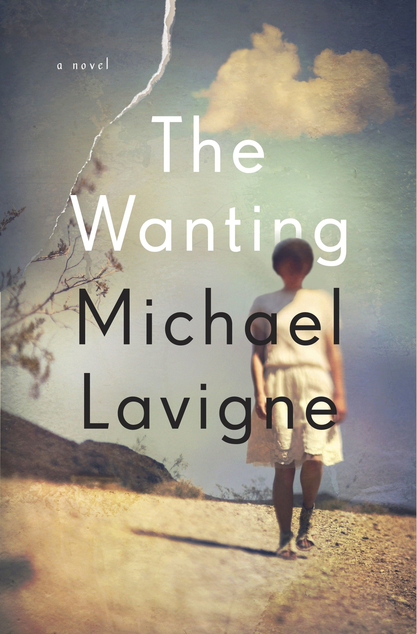 The Wanting - A Novel