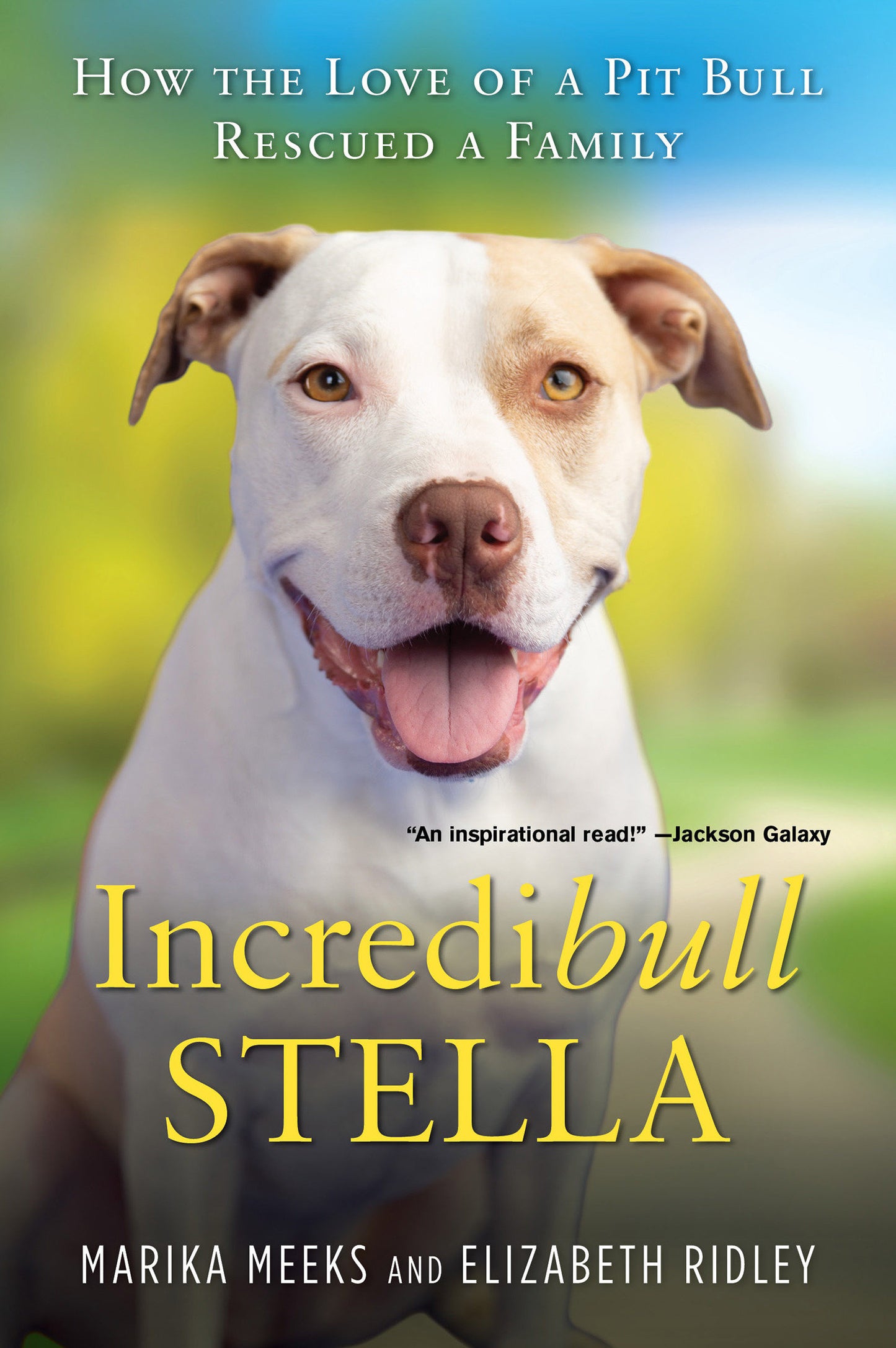 Incredibull Stella - How the Love of a Pit Bull Rescued a Family