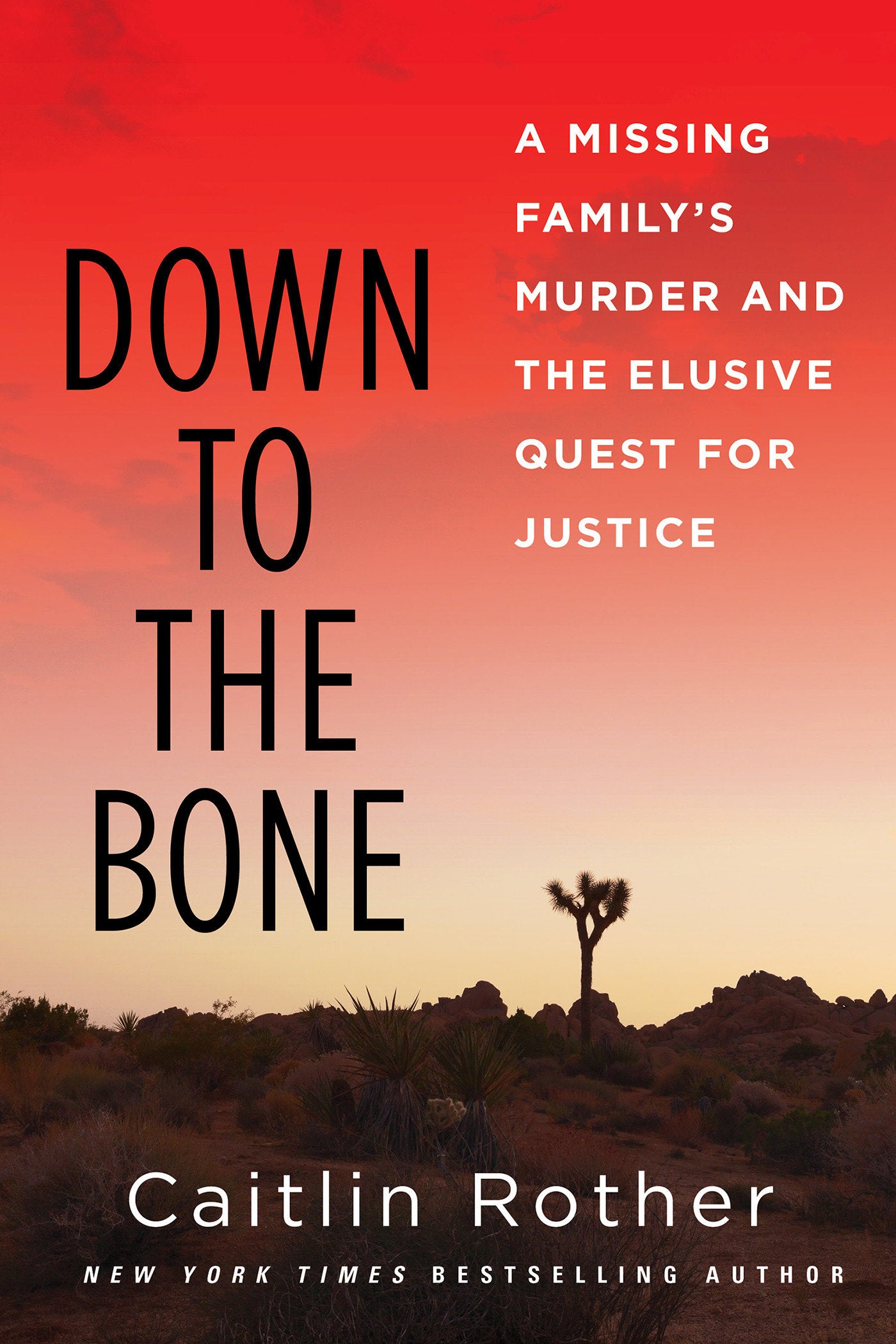 Down to the Bone - A Missing Familys Murder and the Elusive Quest for Justice