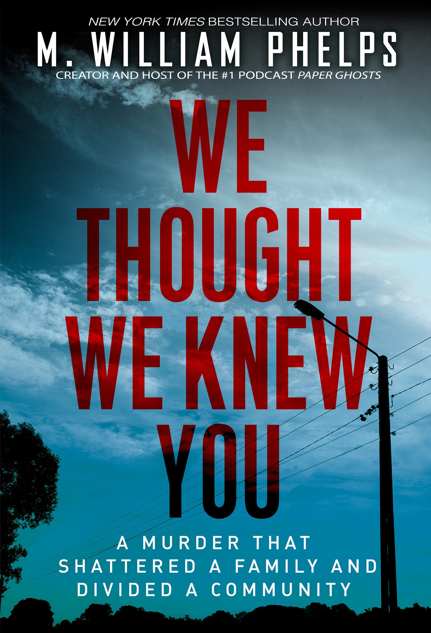 We Thought We Knew You - A Terrifying True Story of Secrets, Betrayal, Deception, and Murder