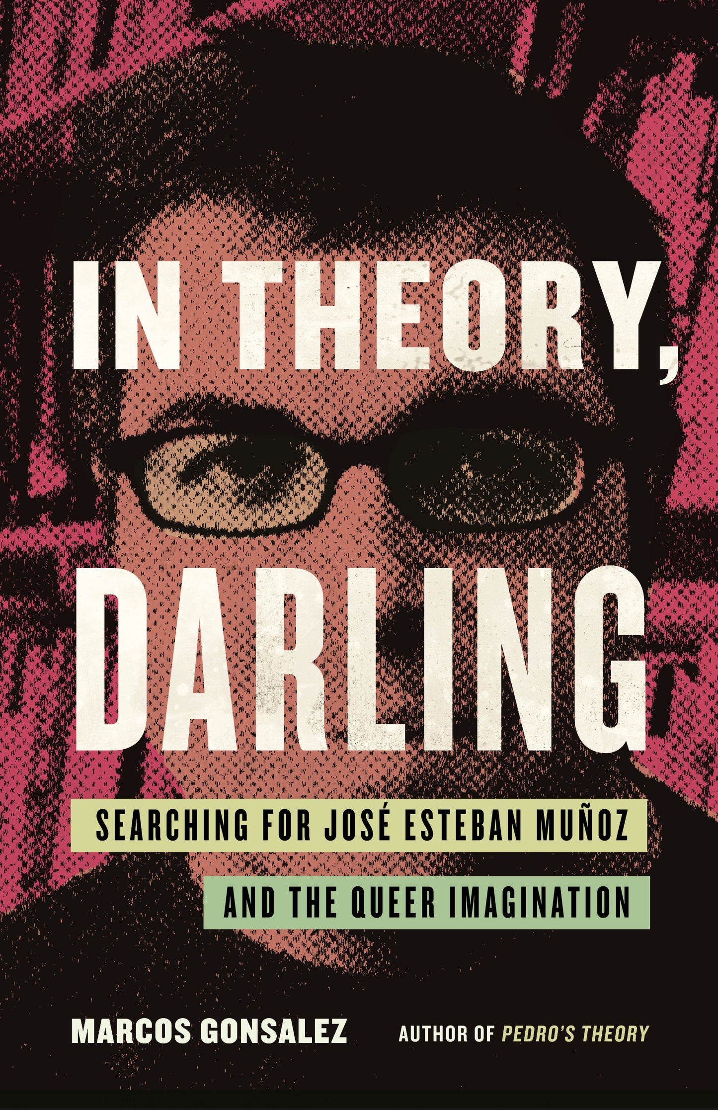 In Theory, Darling - Searching for Jos� Esteban Mu�oz and the Queer Imagination