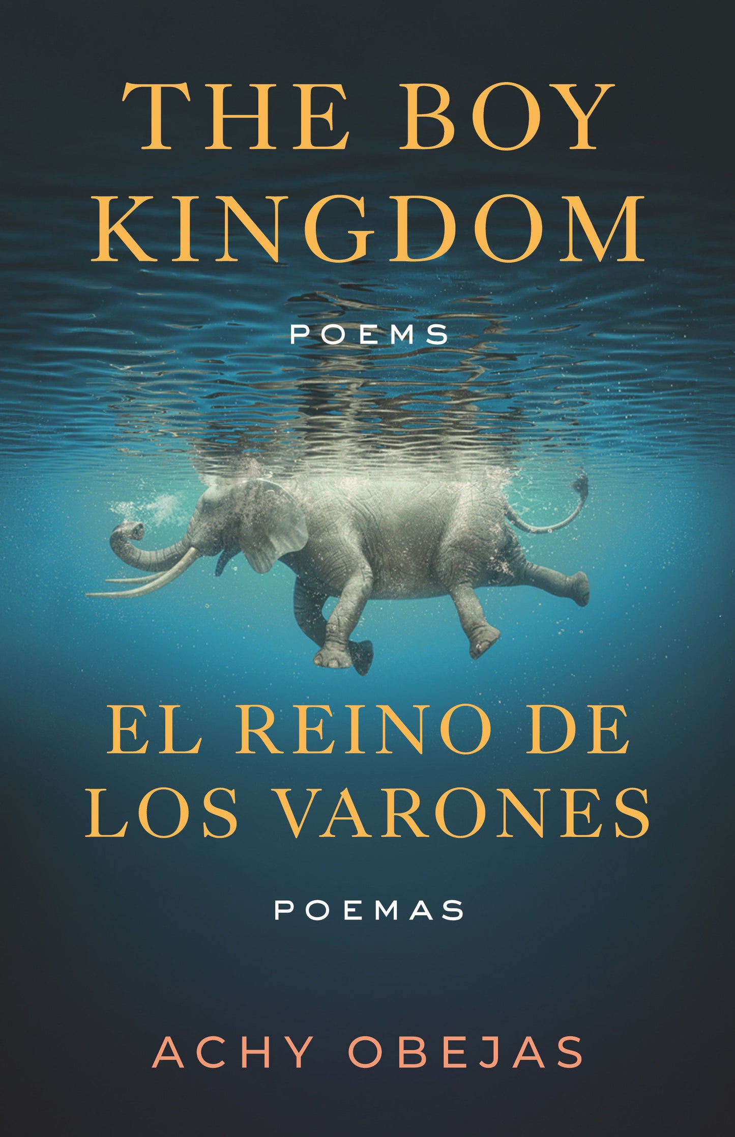 The Boy Kingdom / El reino de los varones - Poems / Poemas (Raised Voices)