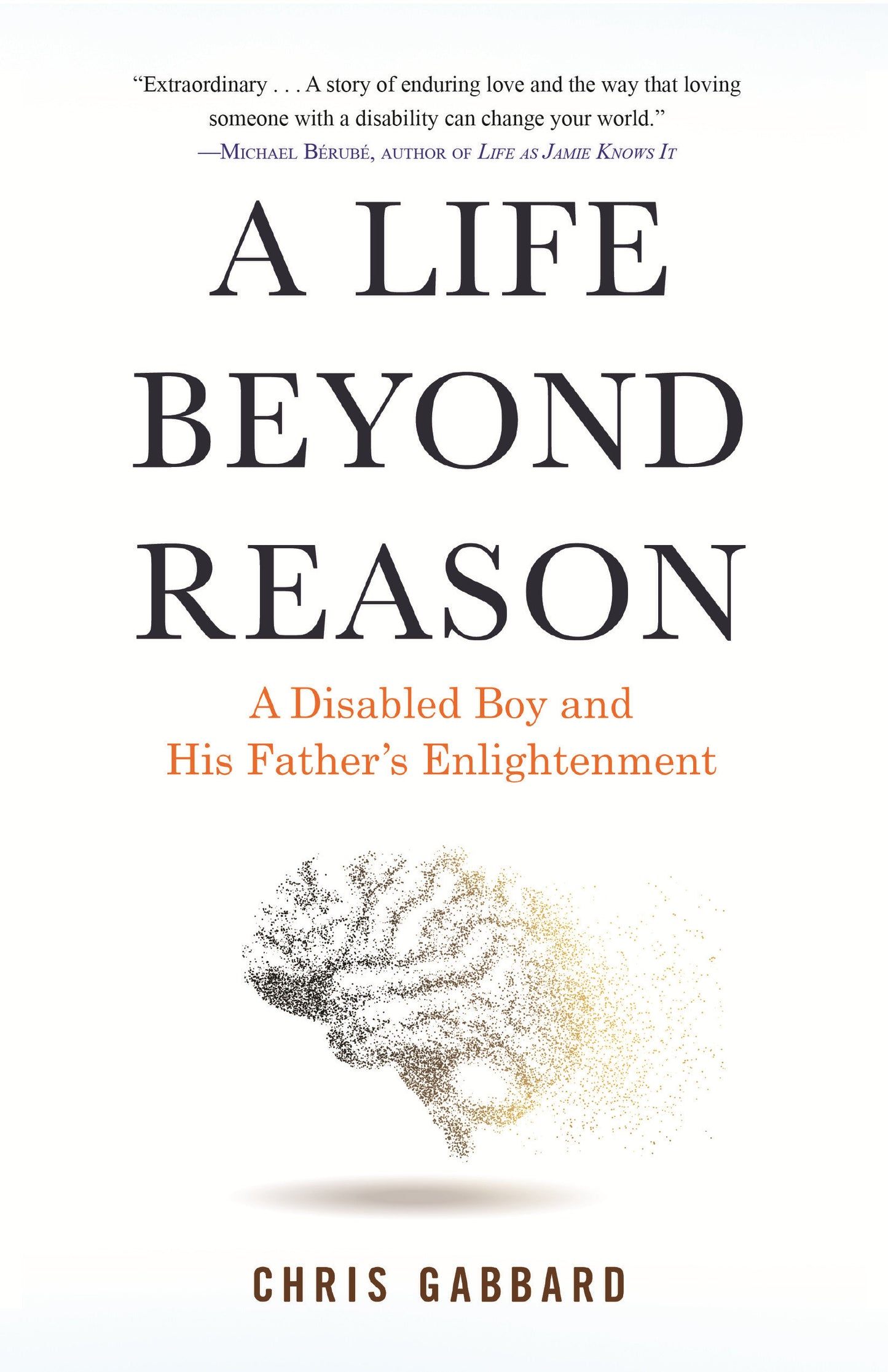 A Life Beyond Reason - A Disabled Boy and His Father's Enlightenment