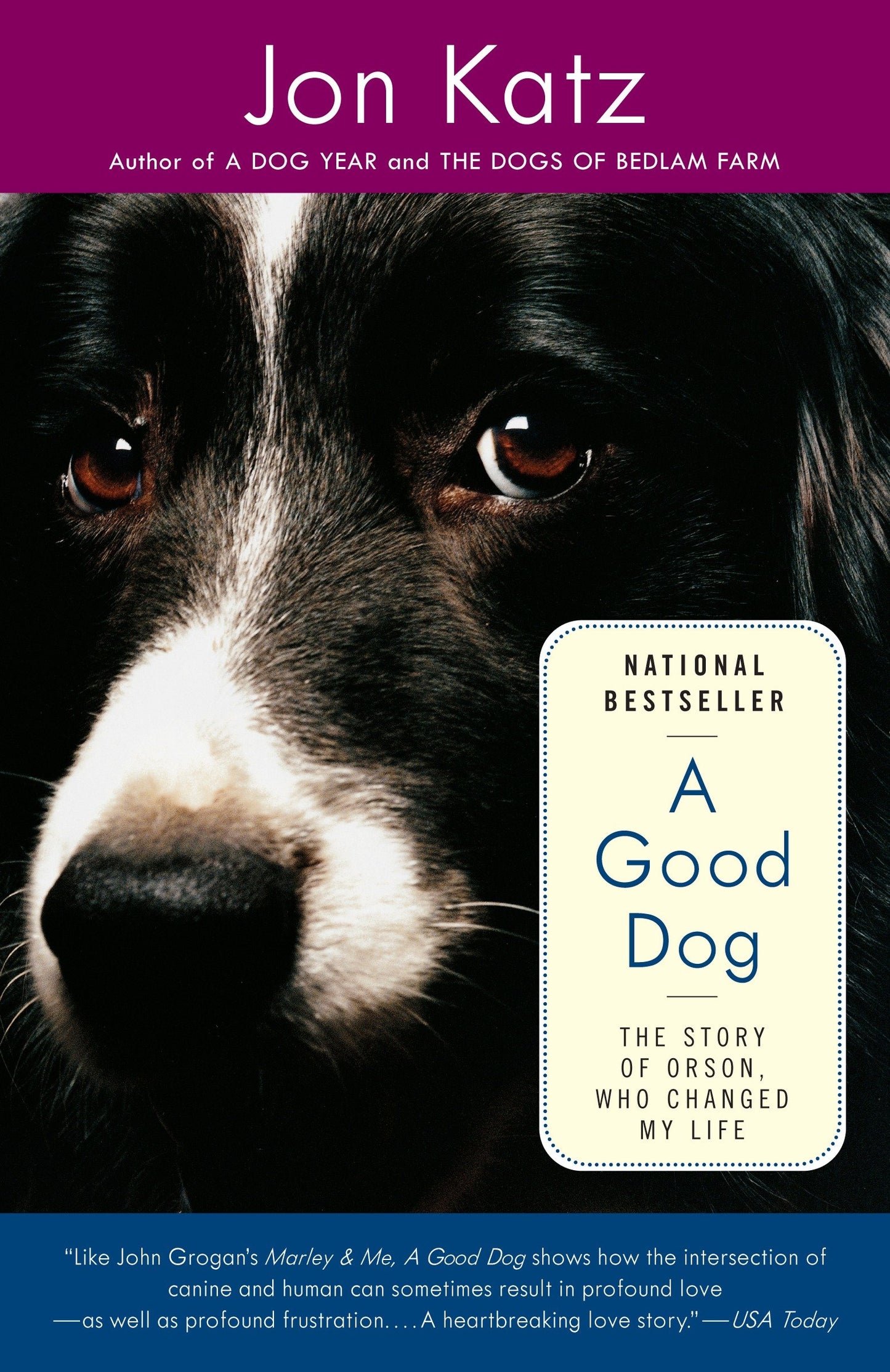 A Good Dog - The Story of Orson, Who Changed My Life