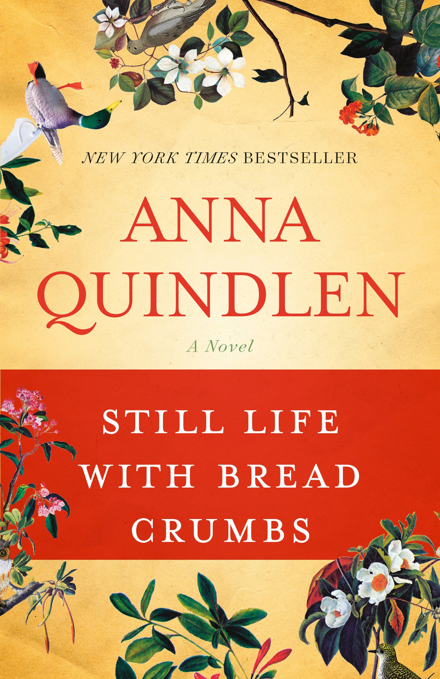Still Life with Bread Crumbs - A Novel