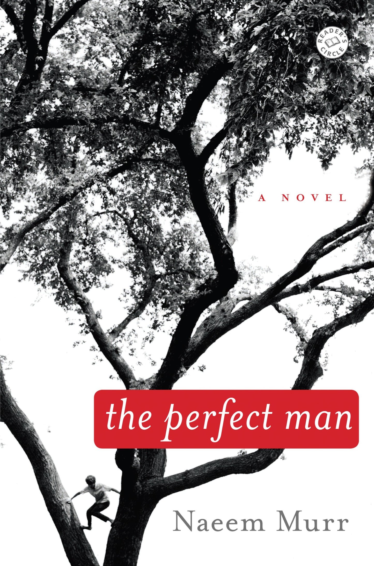 The Perfect Man - A Novel