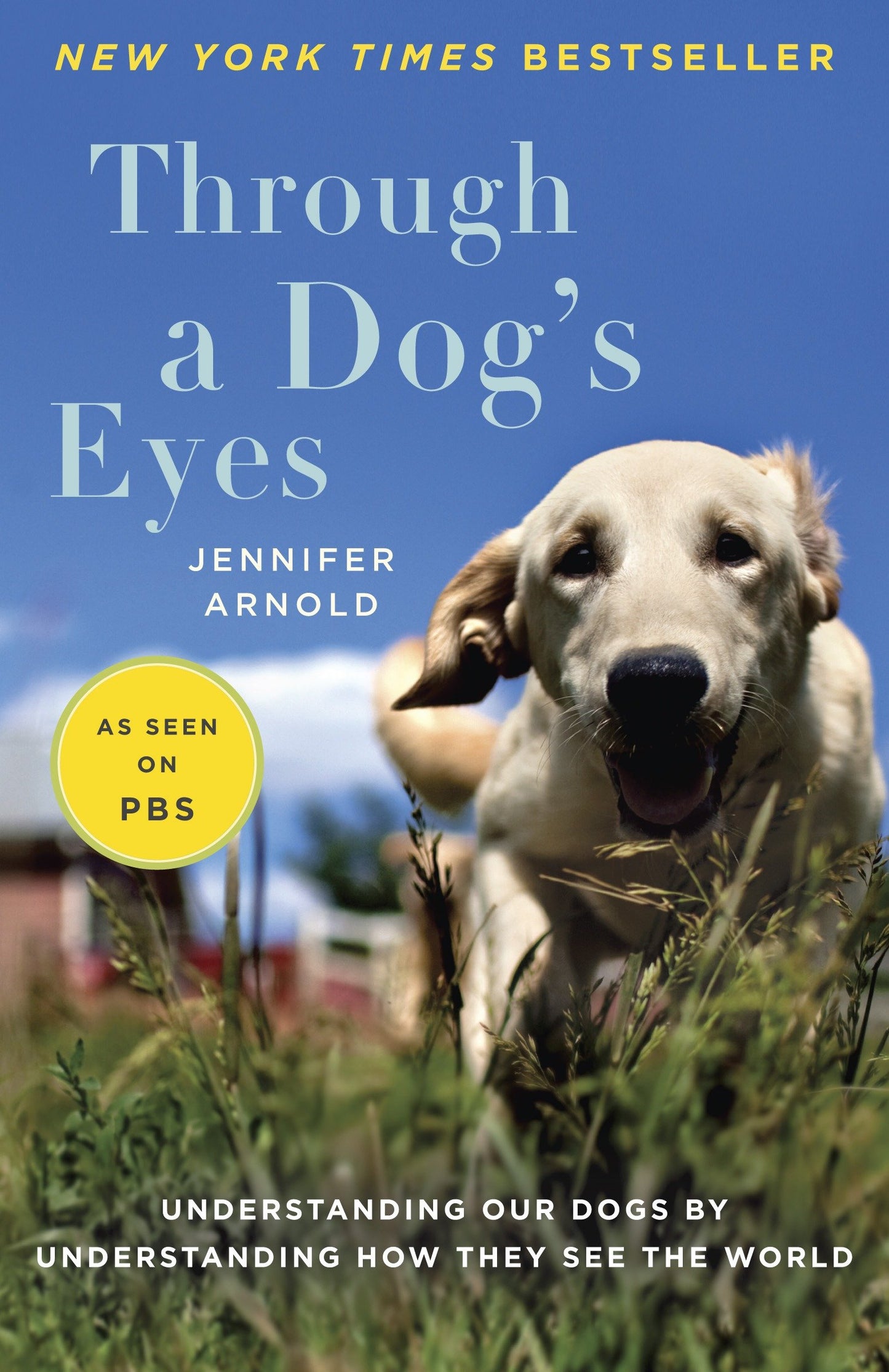 Through a Dog's Eyes - Understanding Our Dogs by Understanding How They See the World
