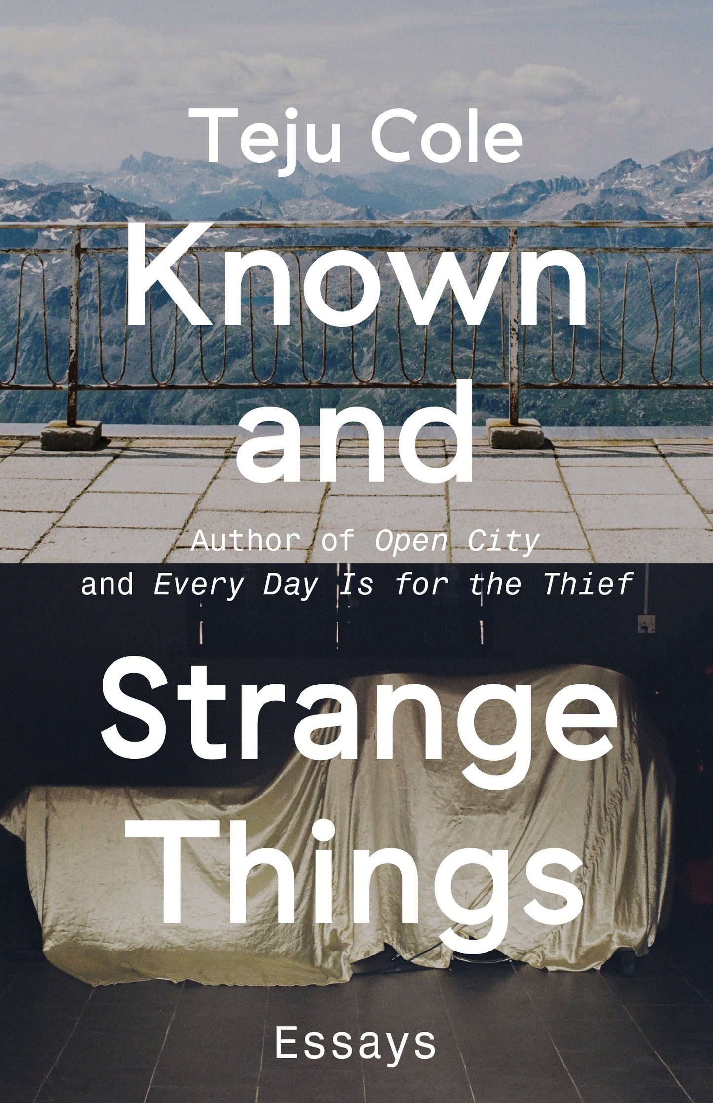 Known and Strange Things - Essays
