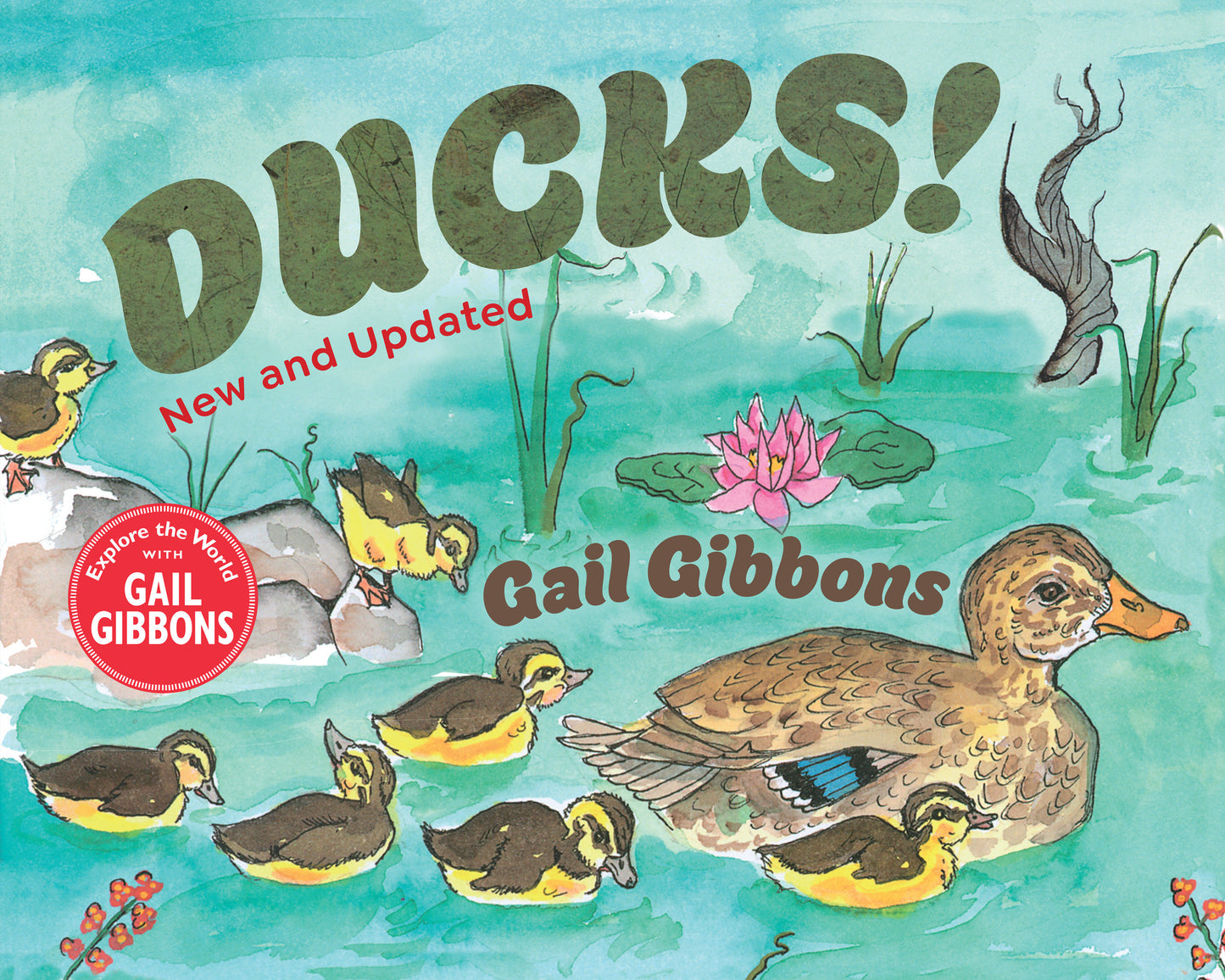 Ducks! (New & Updated)