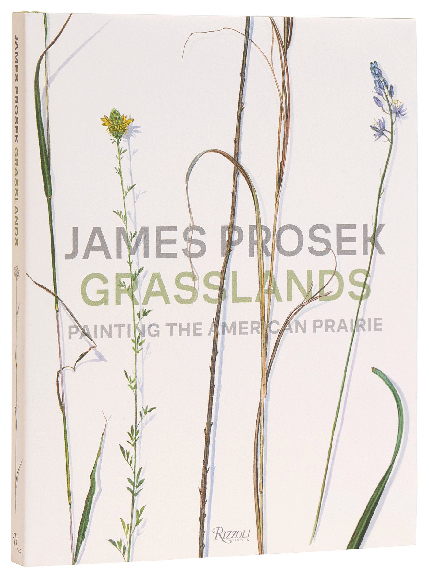 James Prosek Grasslands - Painting the American Prairie