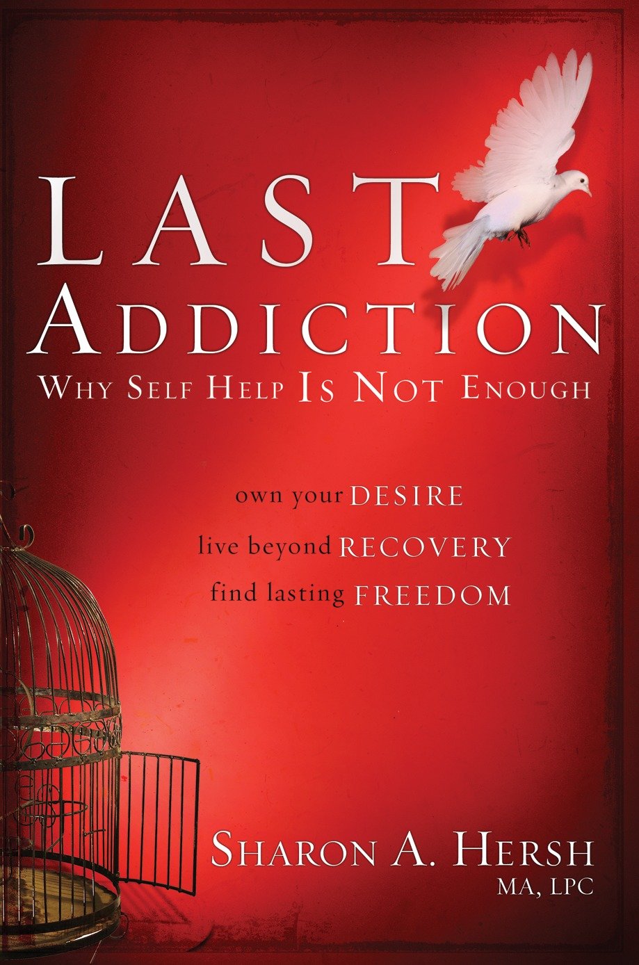 The Last Addiction - Own Your Desire, Live Beyond Recovery, Find Lasting Freedom