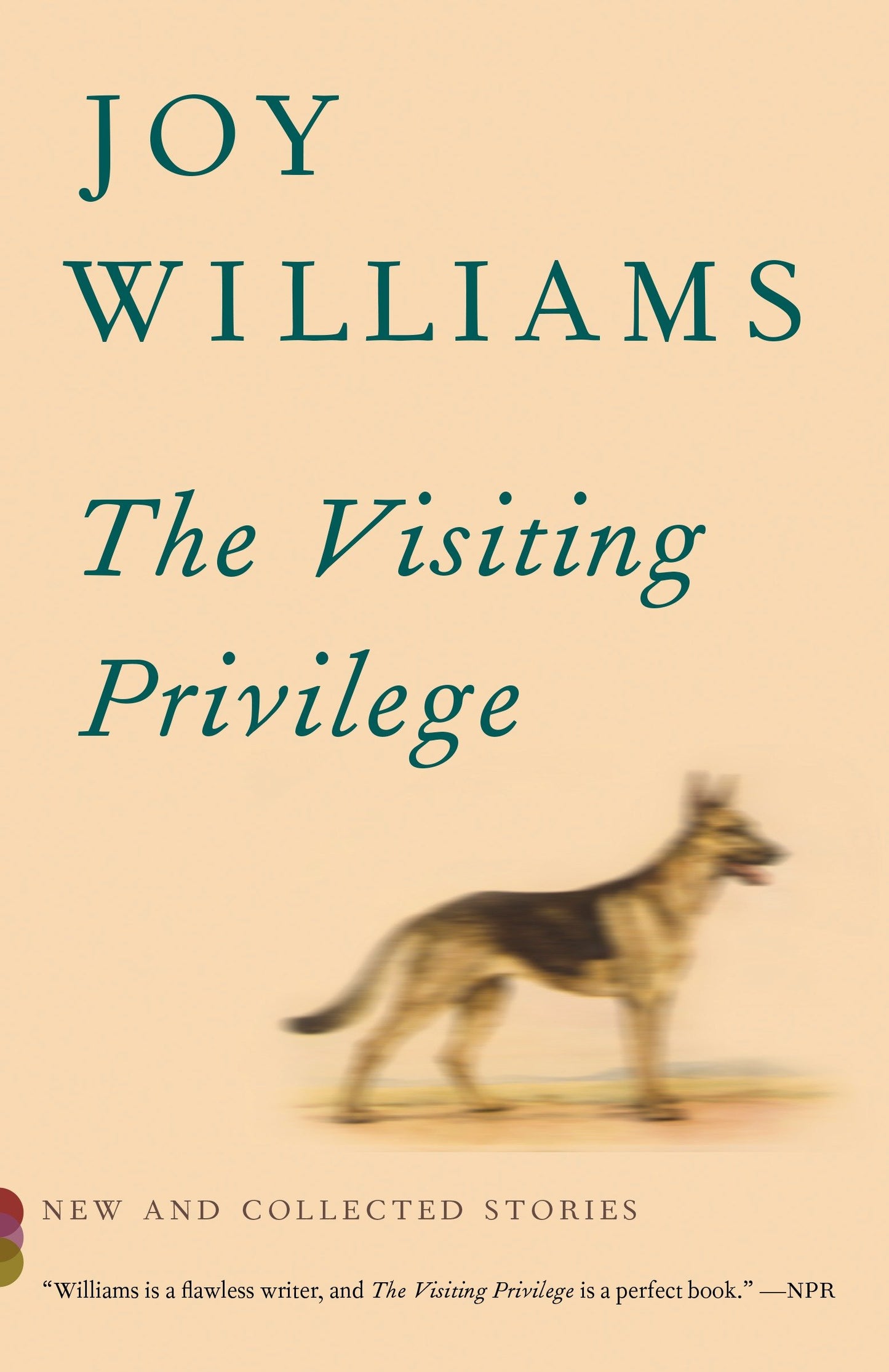The Visiting Privilege - New and Collected Stories (Vintage Contemporaries)