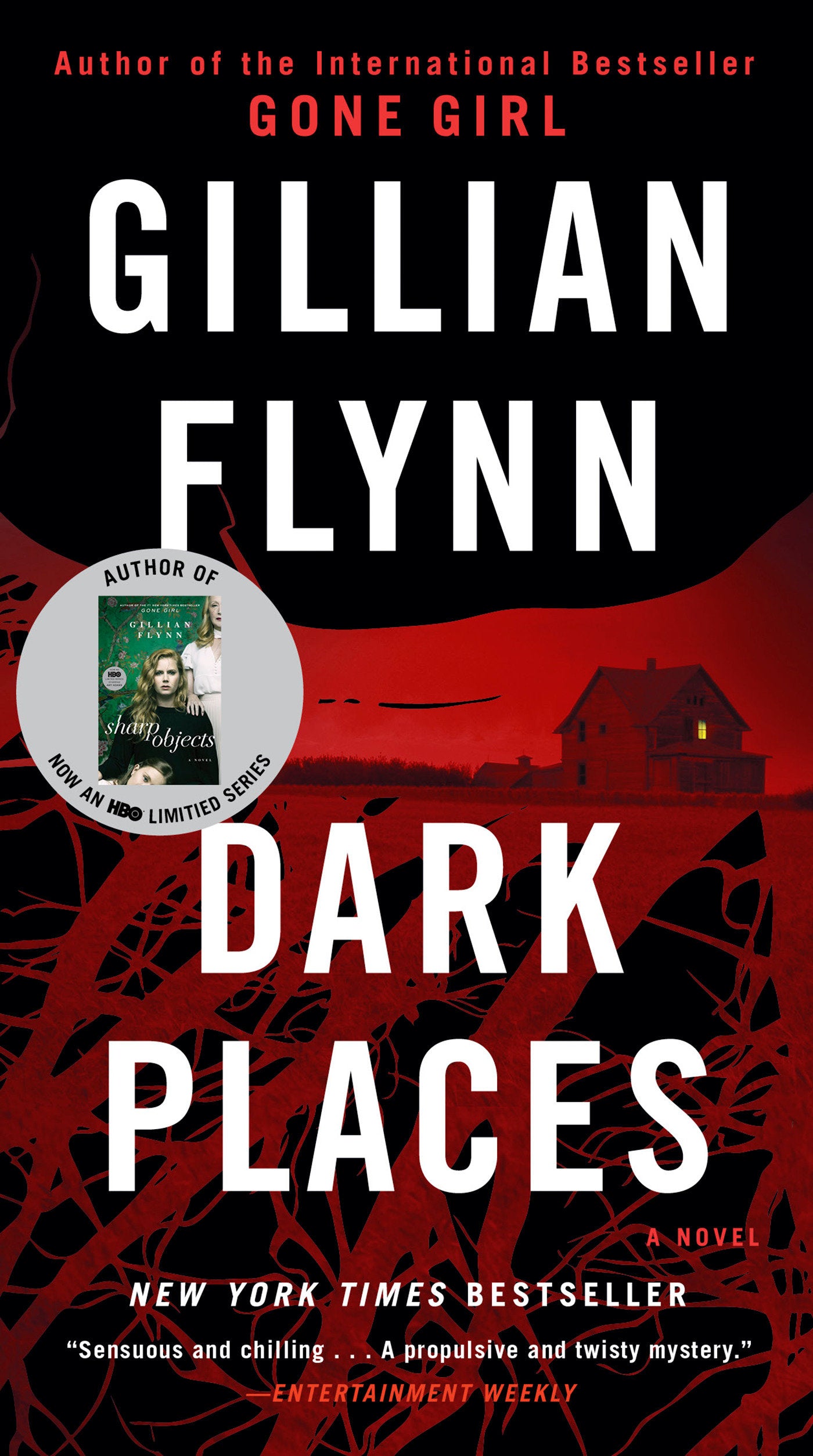 Dark Places - A Novel