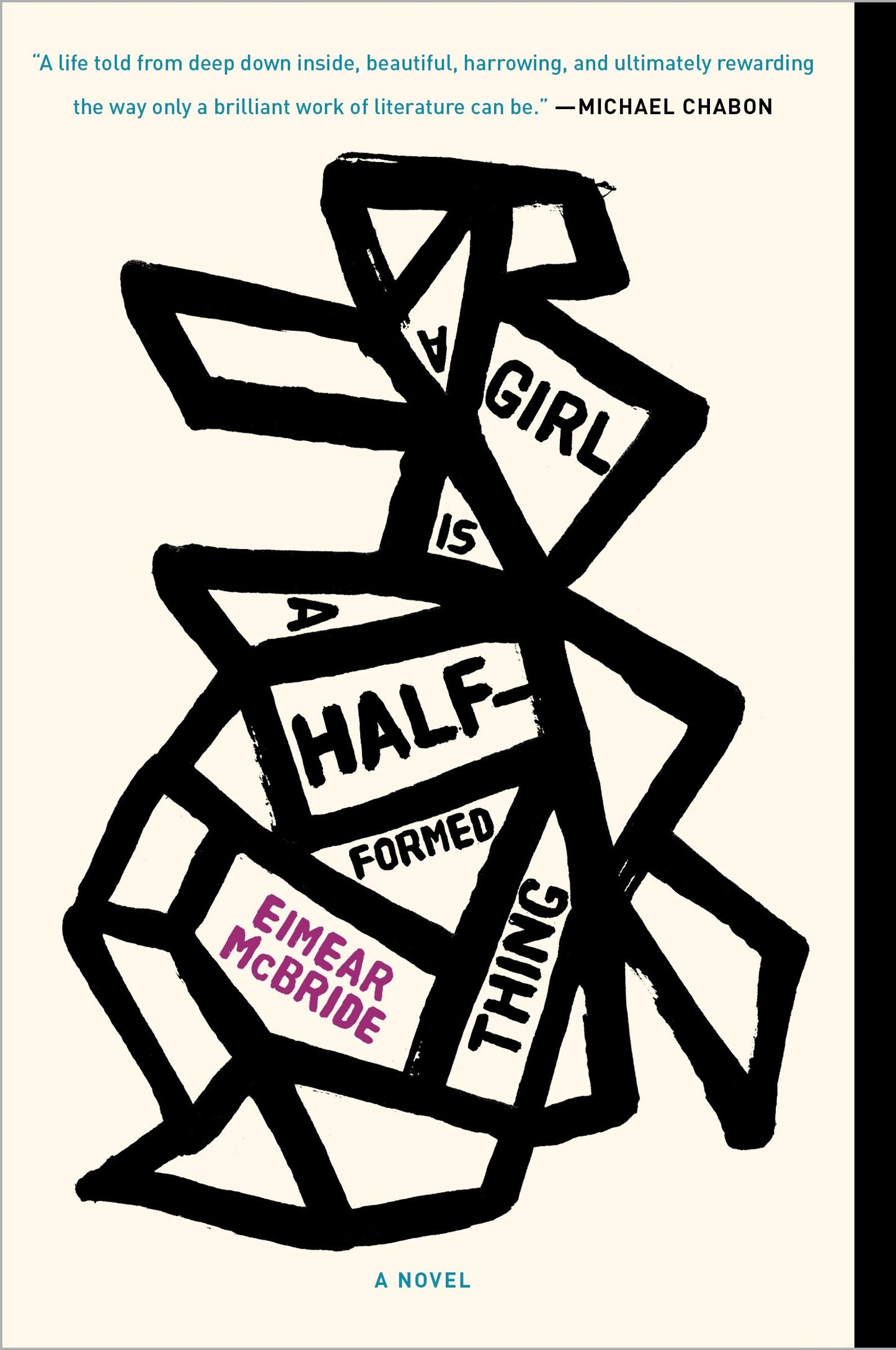 A Girl Is a Half-formed Thing - A Novel