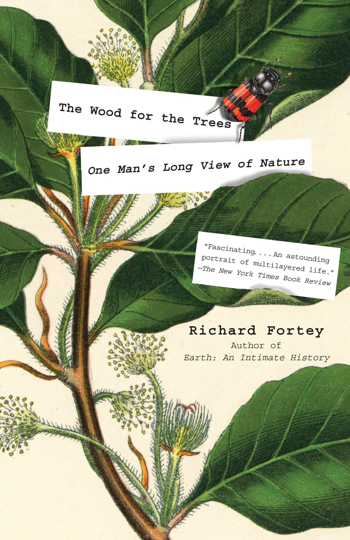The Wood for the Trees - One Man's Long View of Nature