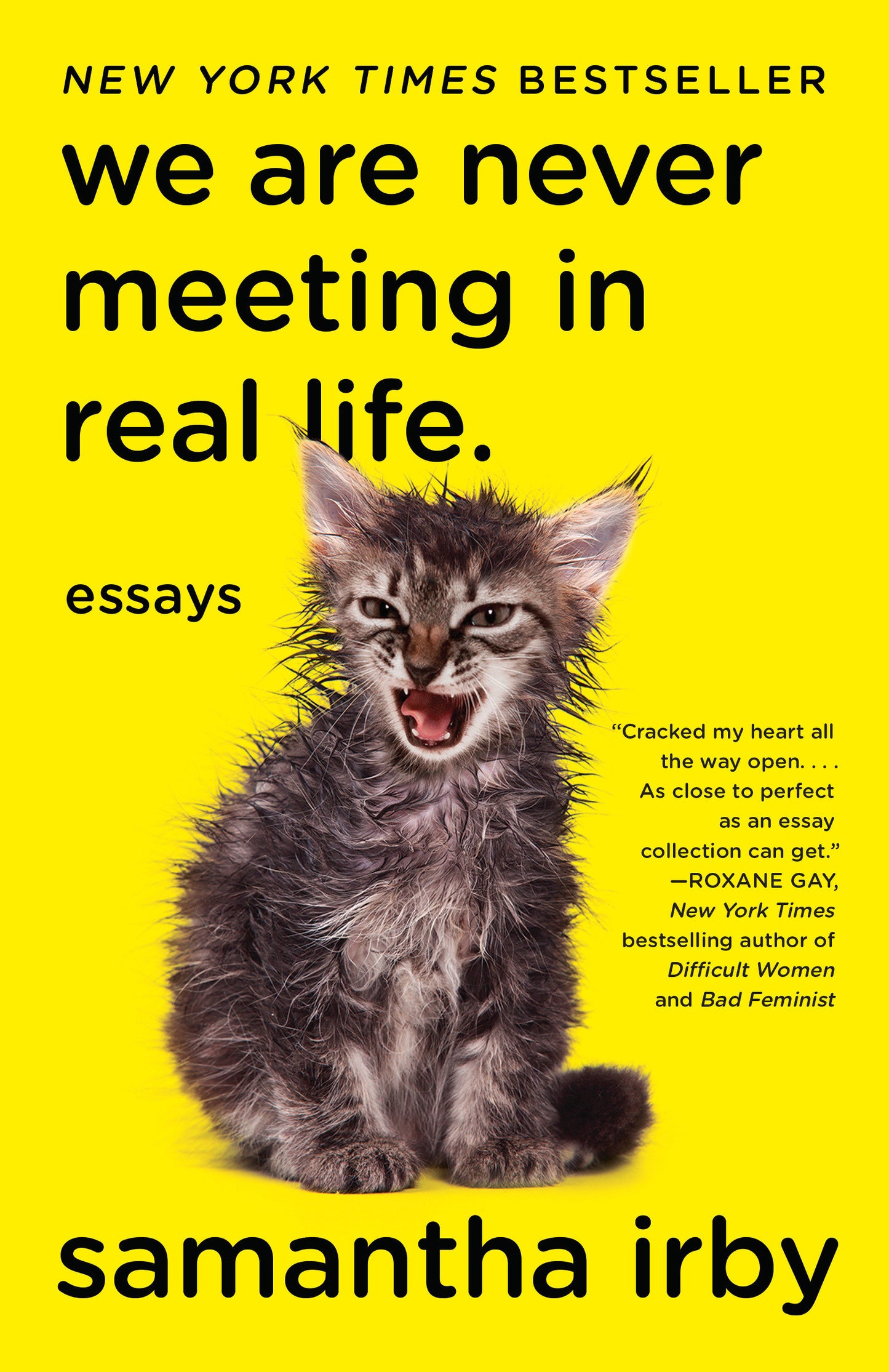 We Are Never Meeting in Real Life. - Essays