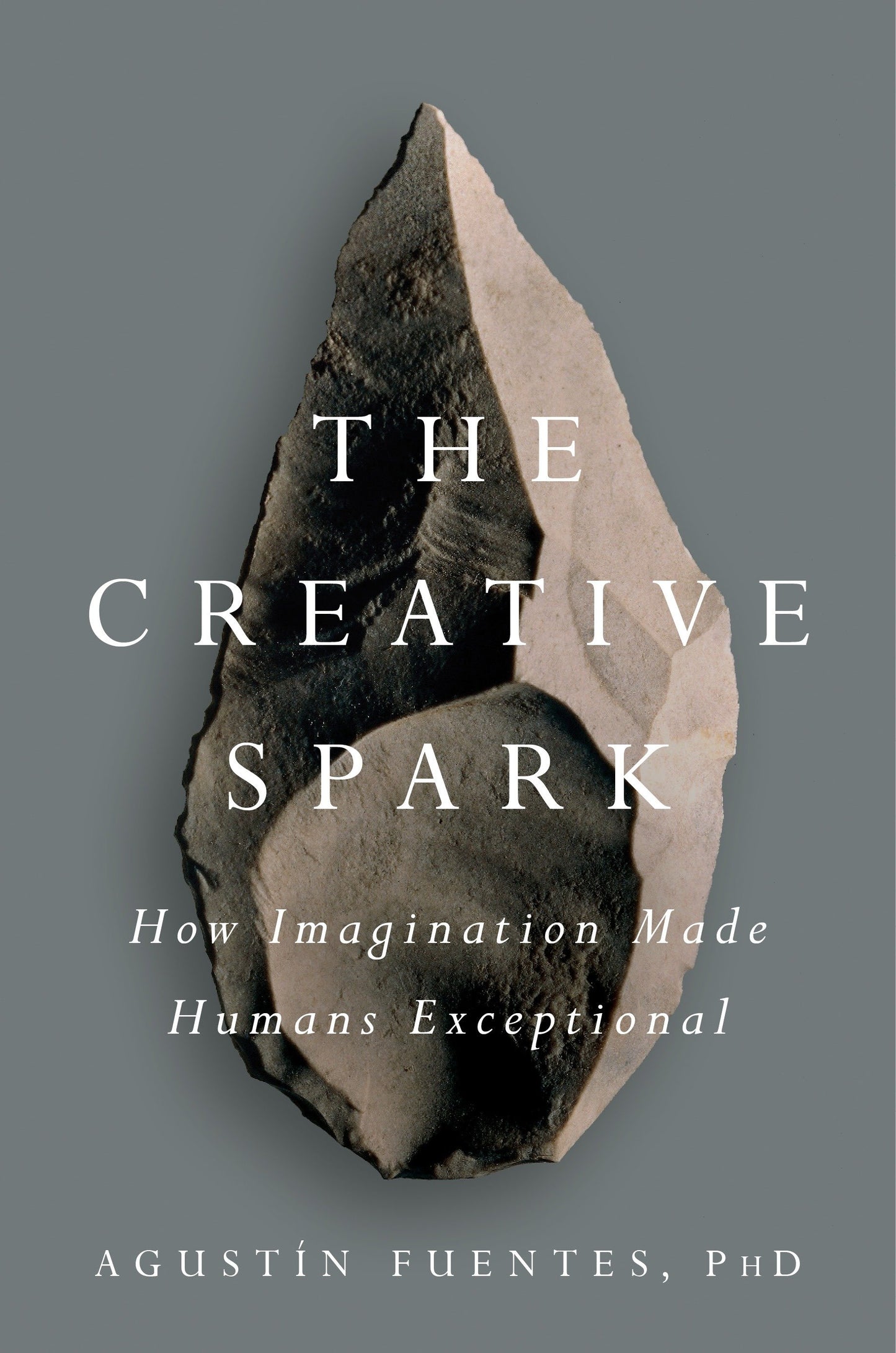 The Creative Spark - How Imagination Made Humans Exceptional