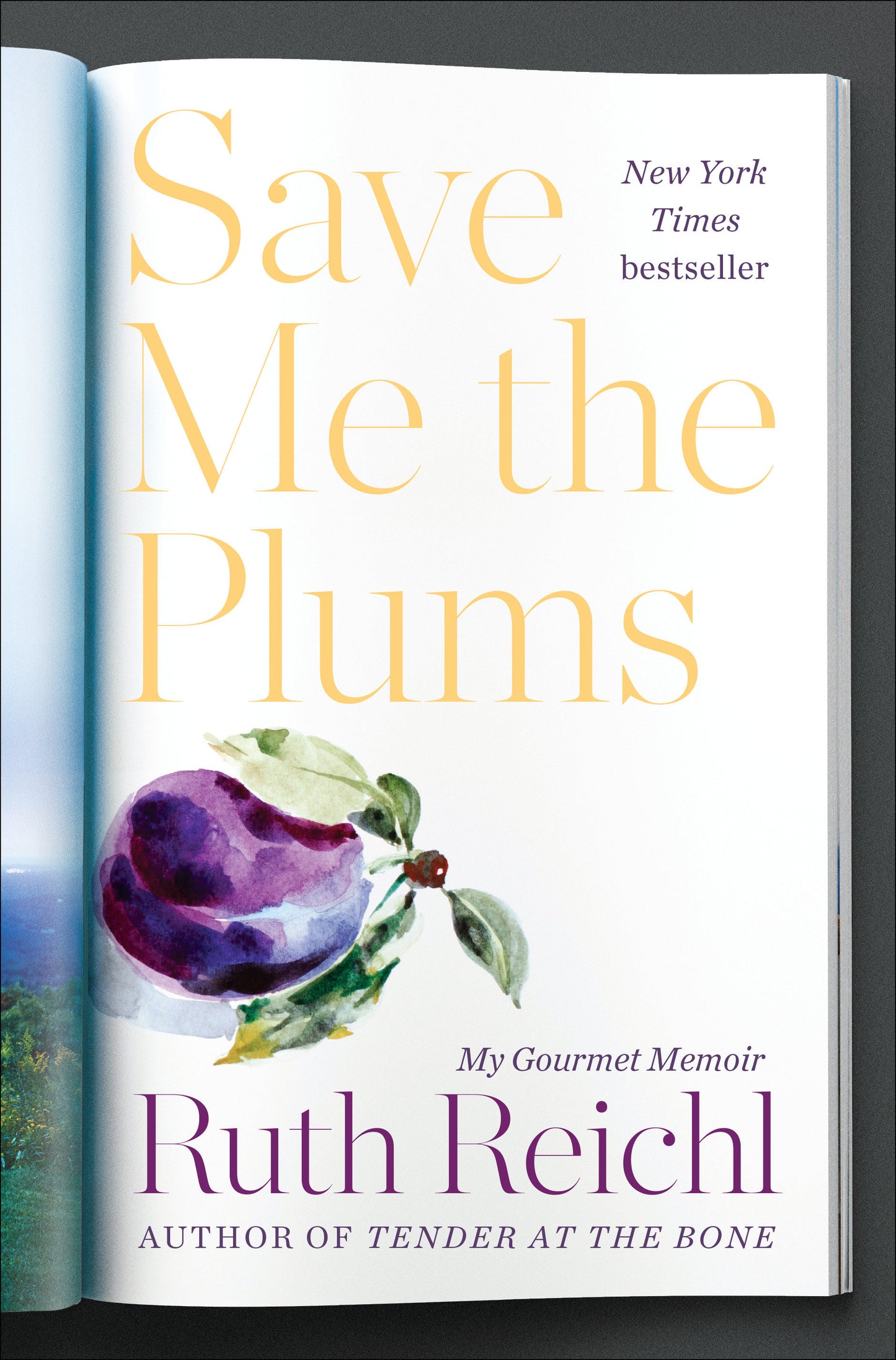 Save Me the Plums - My Gourmet Memoir