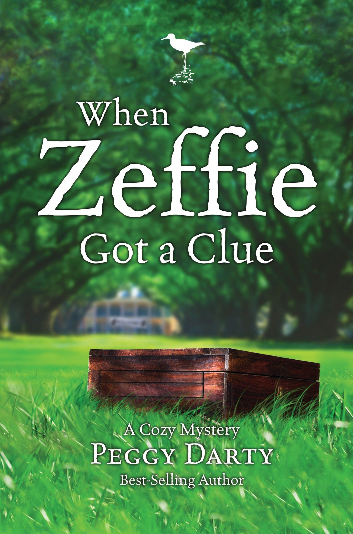 When Zeffie Got a Clue (Christy Castleman Series)