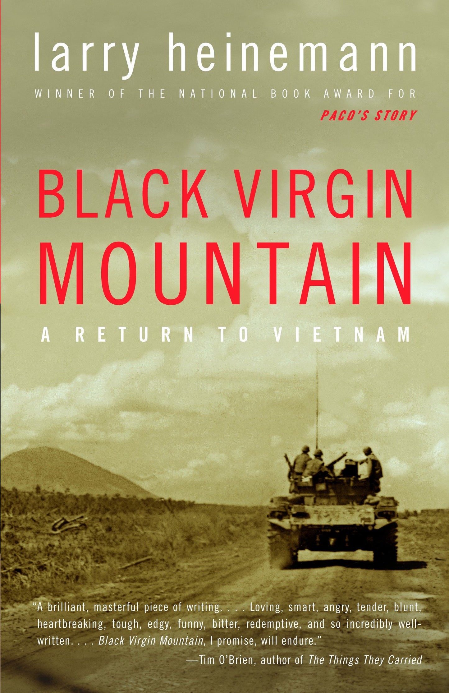 Black Virgin Mountain - A Return to Vietnam