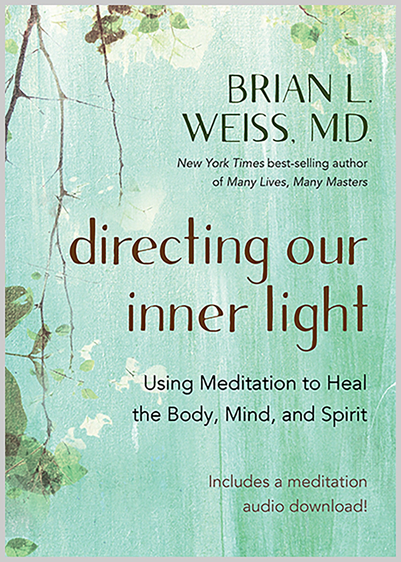 Directing Our Inner Light - Using Meditation to Heal the Body, Mind, and Spirit