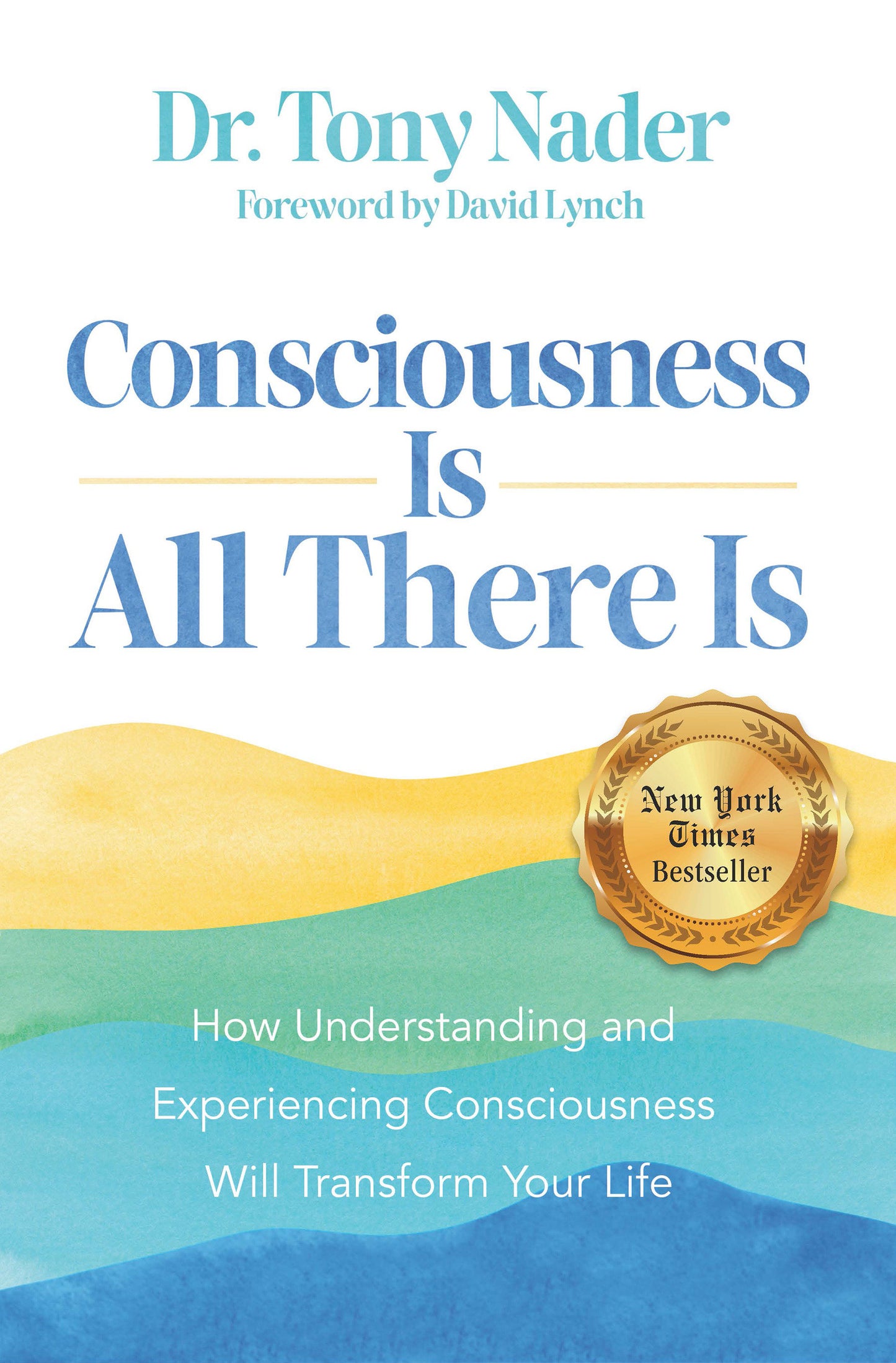 Consciousness Is All There Is - How Understanding and Experiencing Consciousness Will Transform Your Life