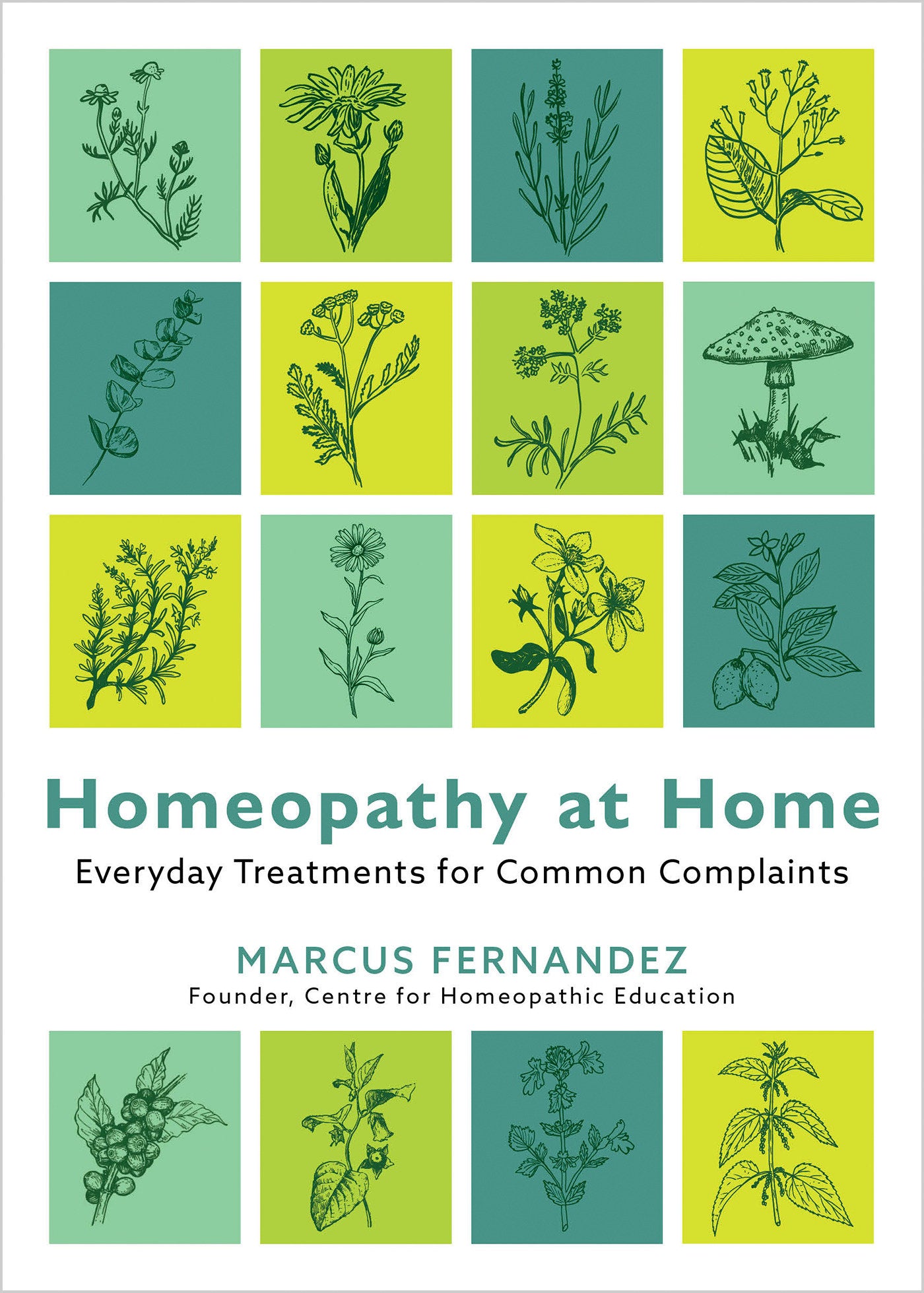 Homeopathy at Home - Everyday Treatments for Common Complaints