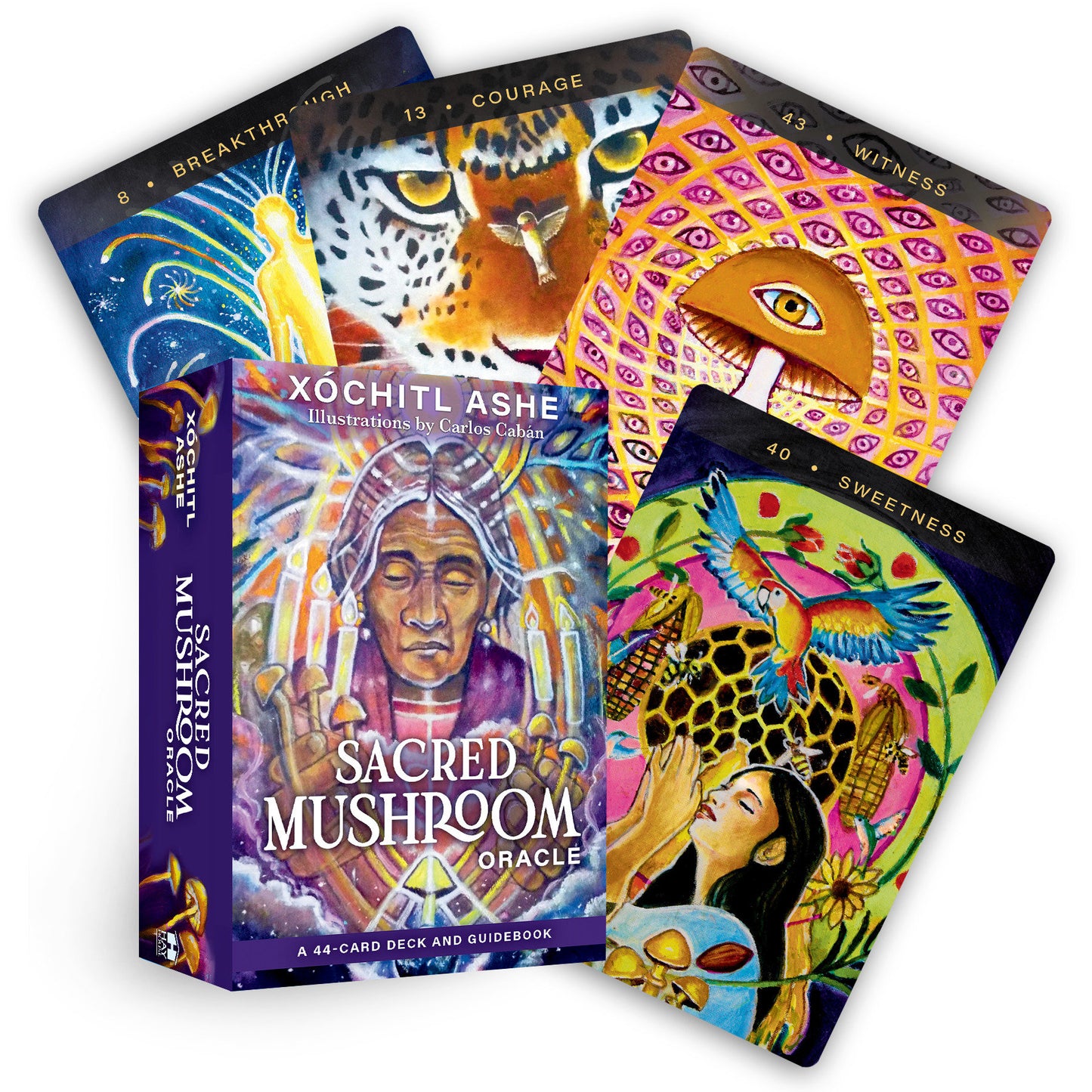 Sacred Mushroom Oracle - A 44-Card Deck and Guidebook