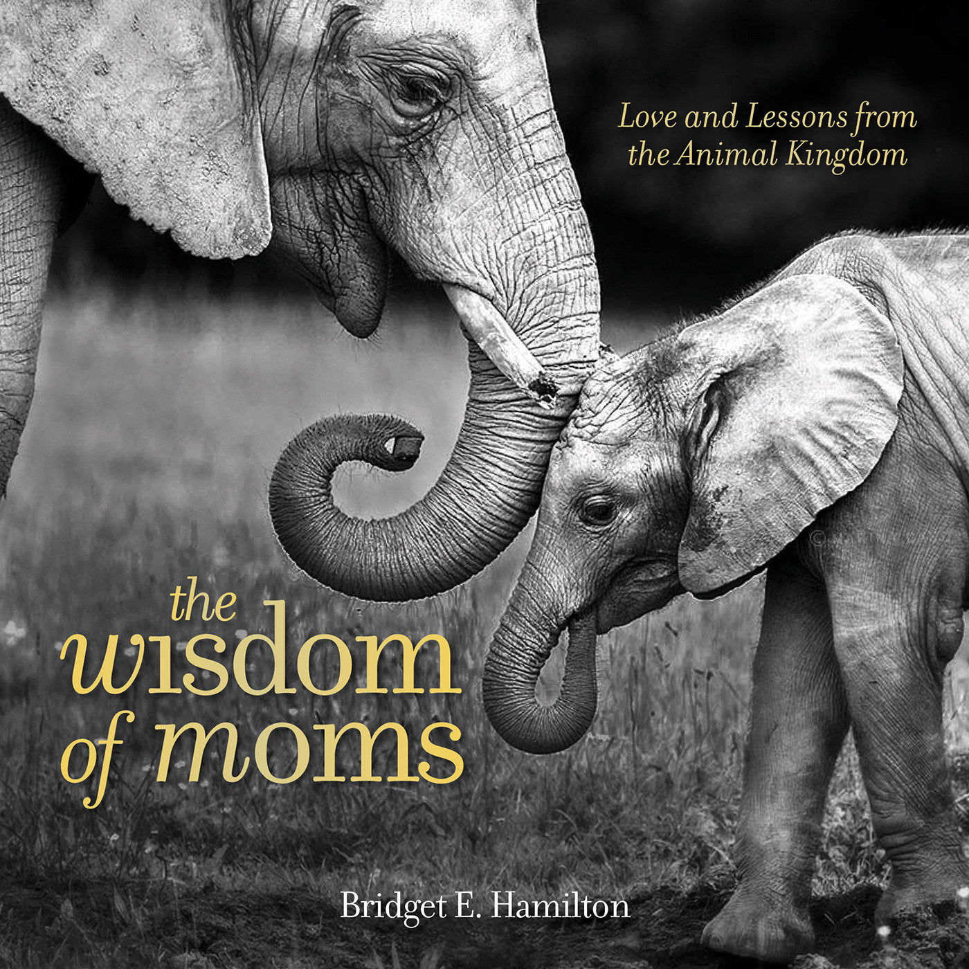 The Wisdom of Moms - Love and Lessons From the Animal Kingdom