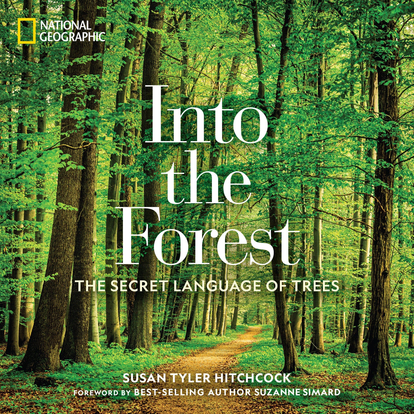 Into the Forest - The Secret Language of Trees