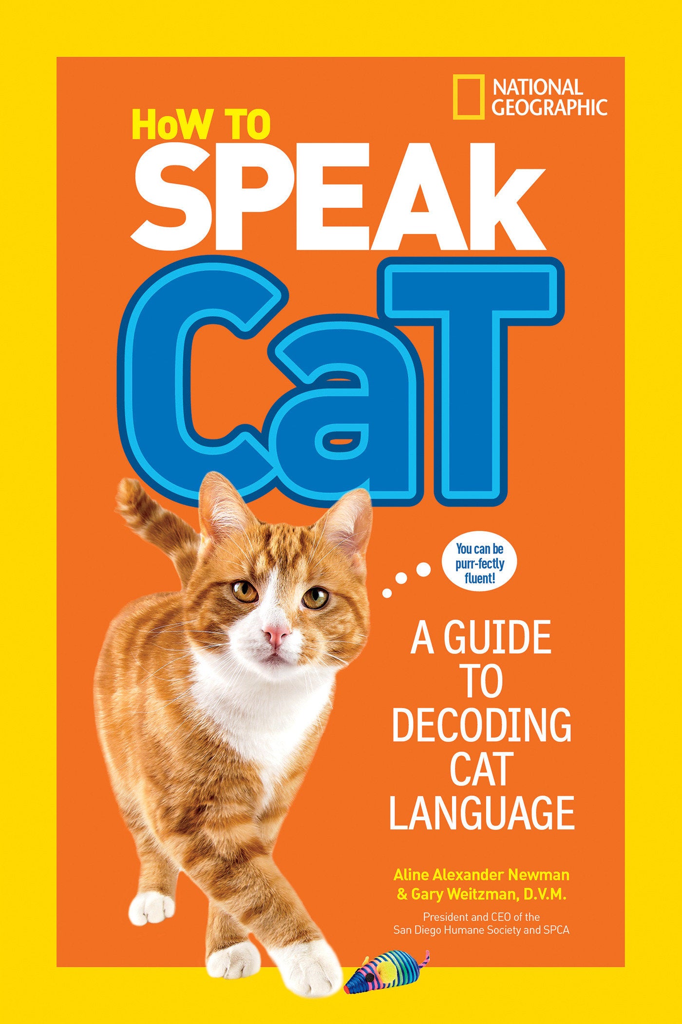 How to Speak Cat - A Guide to Decoding Cat Language (NGK How to Speak Animal)