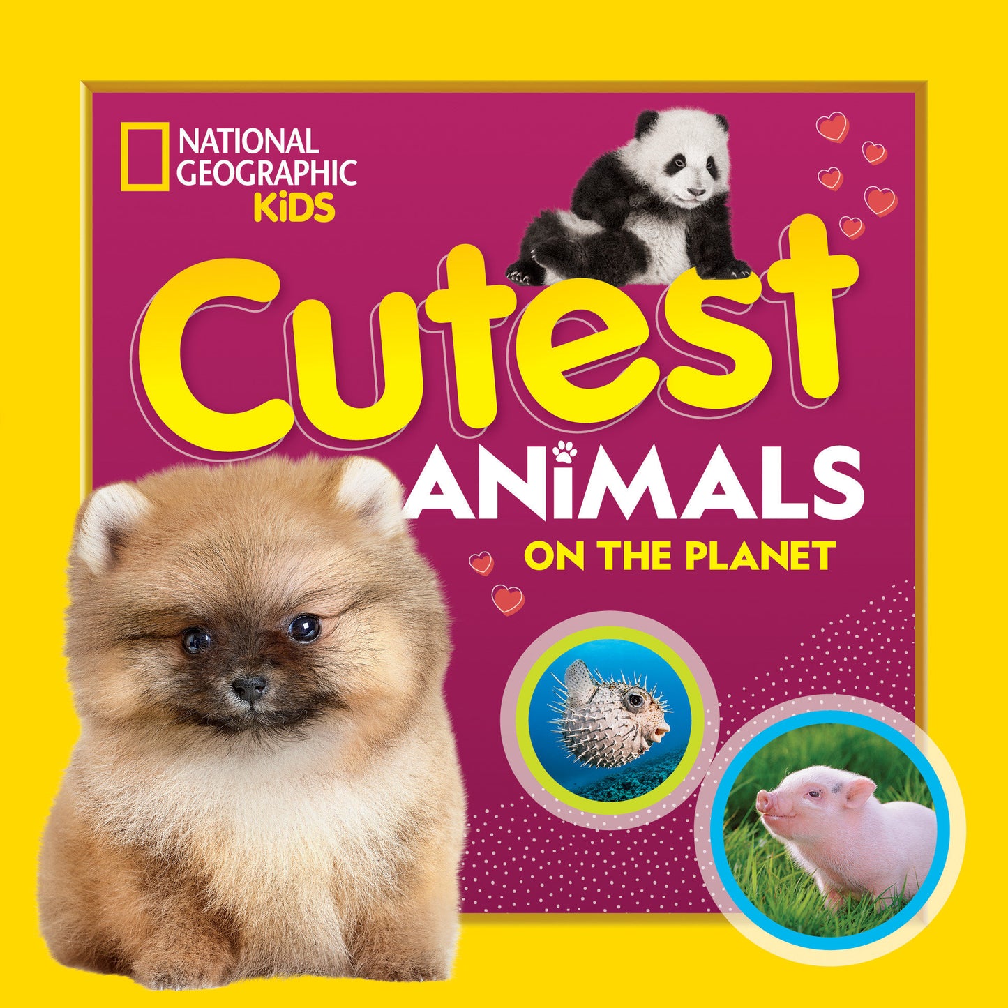 Cutest Animals on the Planet (Animals on the Planet)