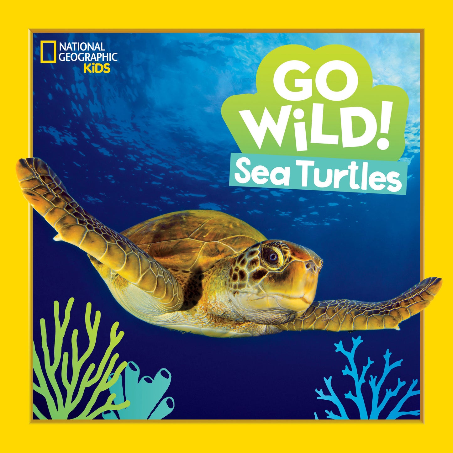 Go Wild! Sea Turtles (Go Wild!)
