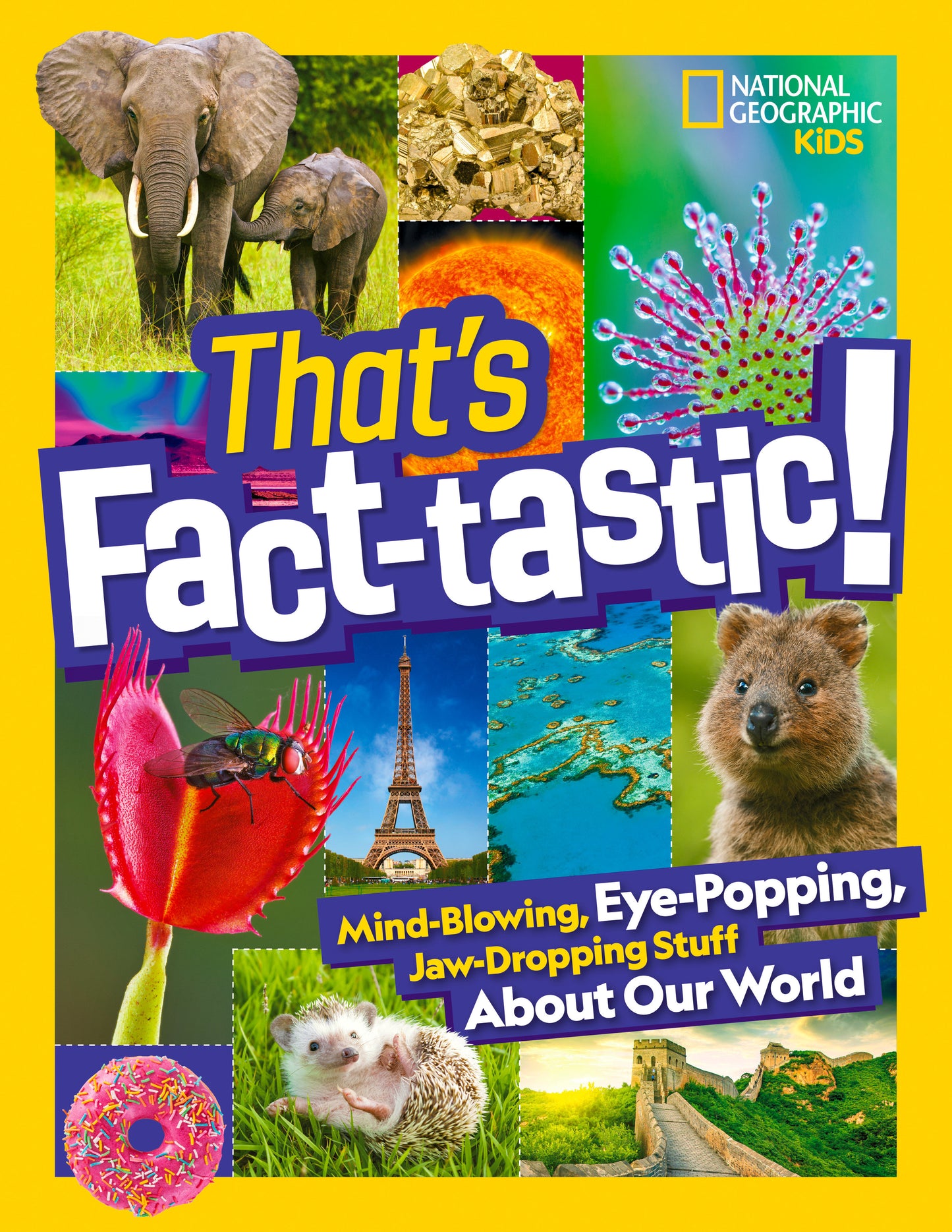 That's Fact-tastic! - Mind-blowing, Eye-popping, Jaw-dropping Stuff About Our World