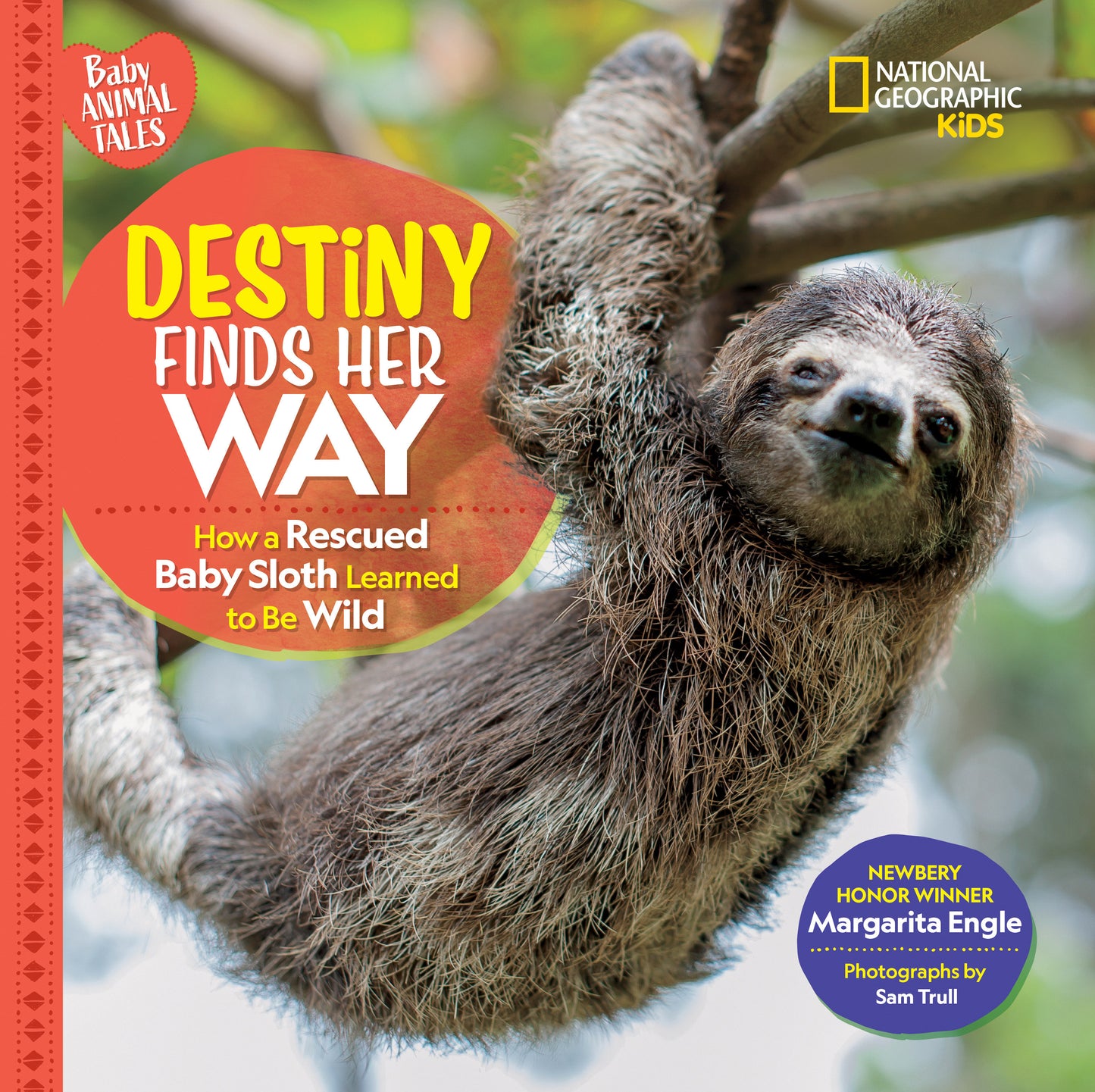 Destiny Finds Her Way - How a Rescued Baby Sloth Learned to Be Wild (Baby Animal Tales)