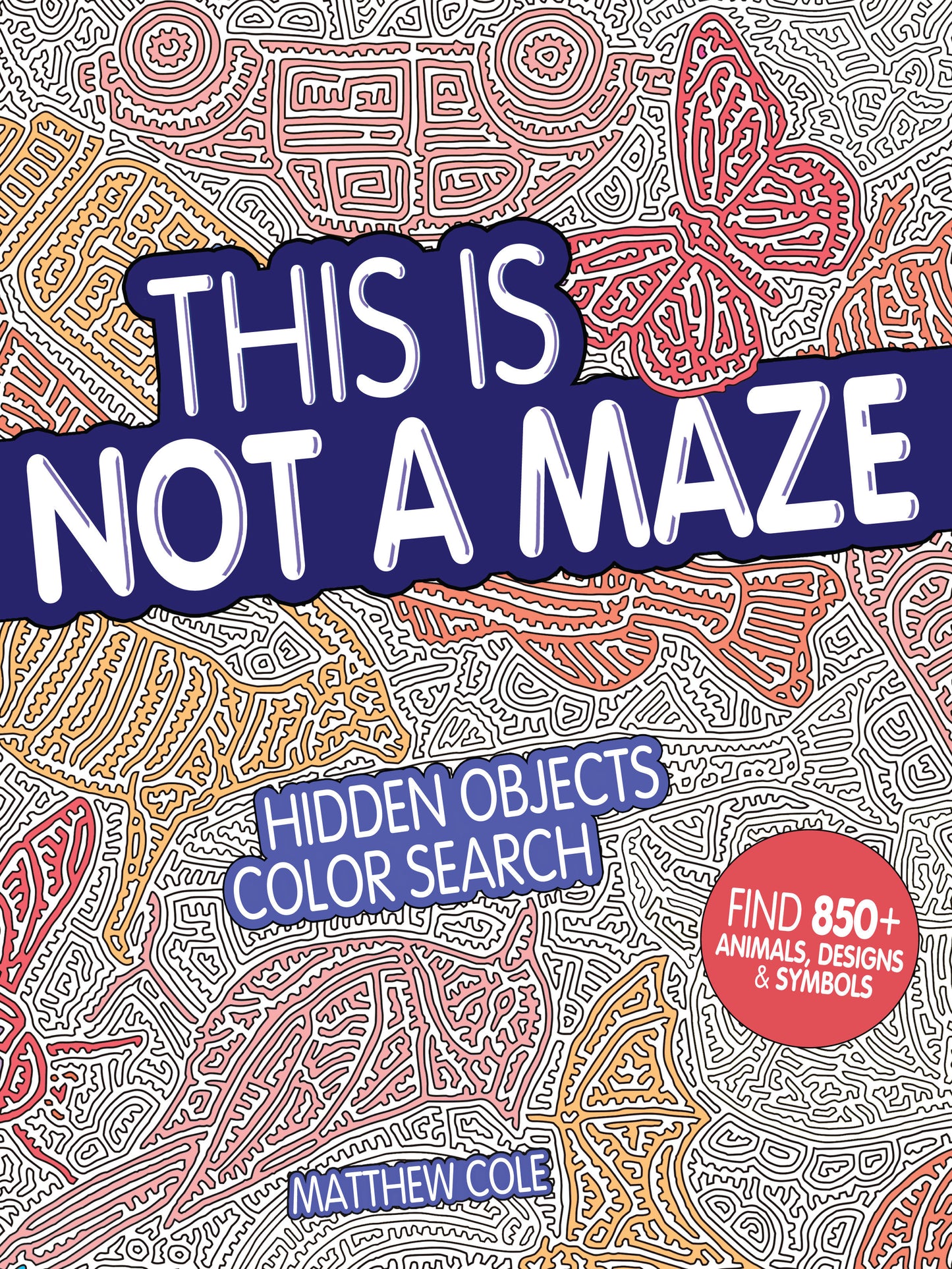 This Is Not a Maze - Hidden Objects Color Search