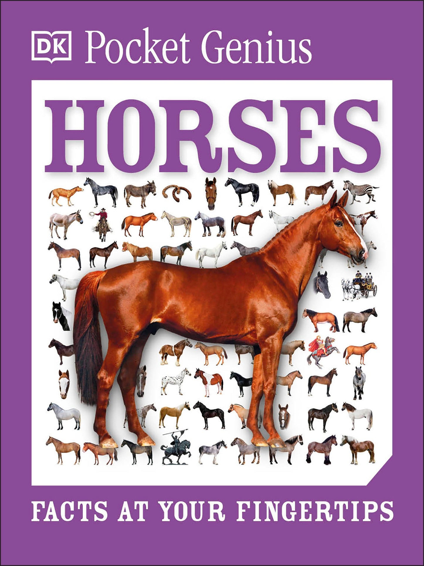Pocket Genius Horses - Facts at Your Fingertips (Pocket Genius) (Book:9)