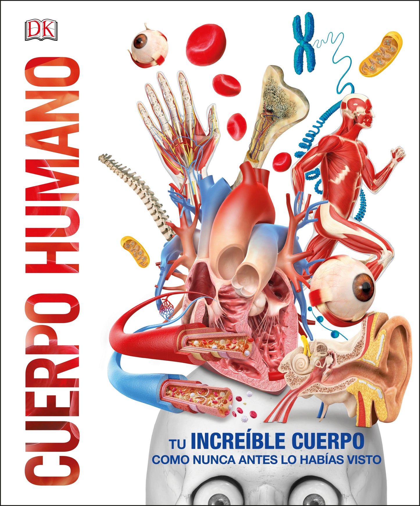 Cuerpo humano (Knowledge Encyclopedia Human Body!), Human Body! (DK Knowledge Encyclopedias)