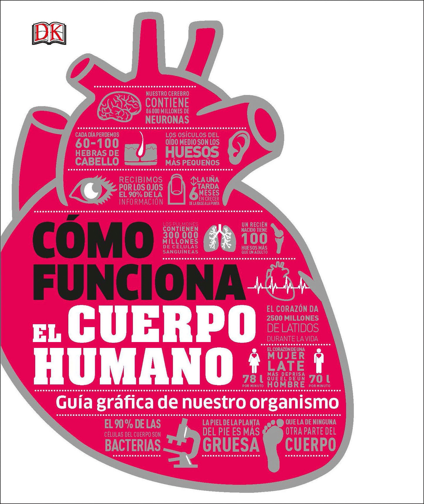 Como funciona el cuerpo humano (How the Body Works), How the Body Works - Guia grafica de nuestro organismo (DK How Stuff Works)