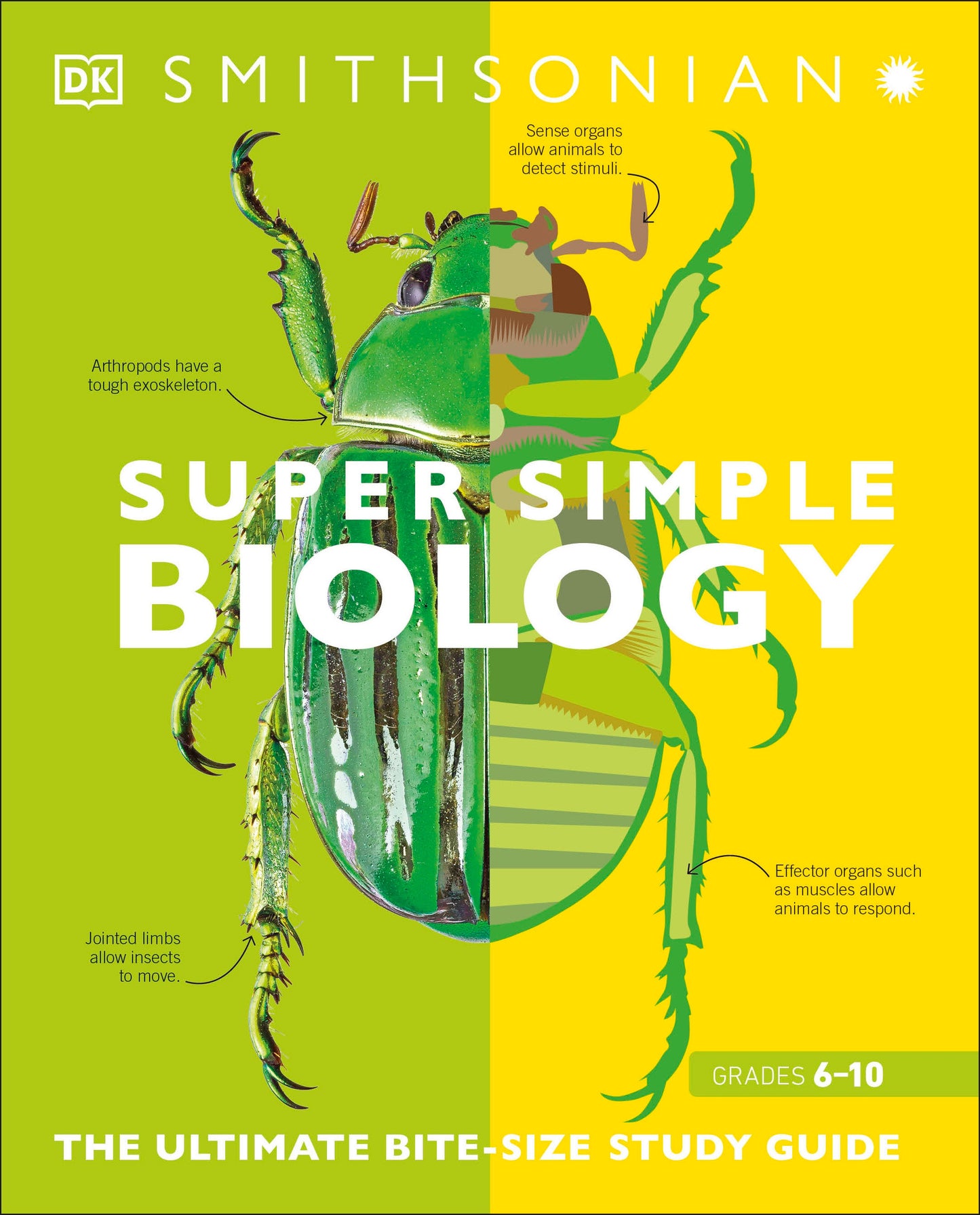 Super Simple Biology - The Ultimate Bitesize Study Guide (DK Super Simple)