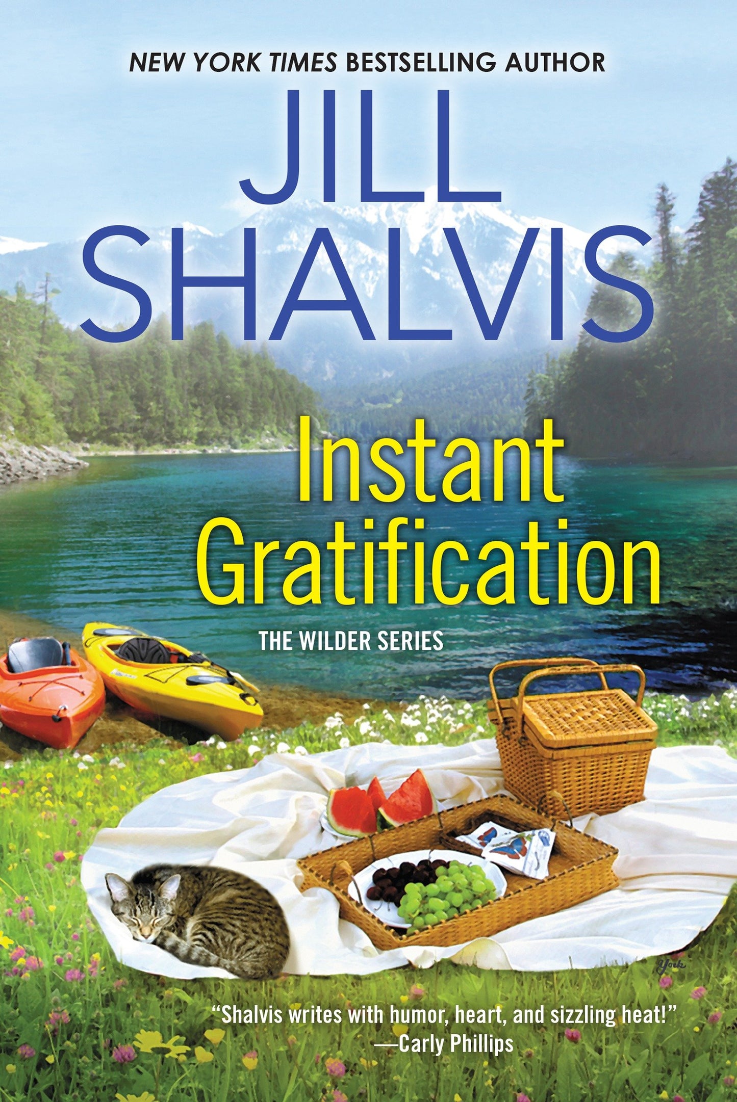 Instant Gratification (Wilder Brothers) (Book:2)