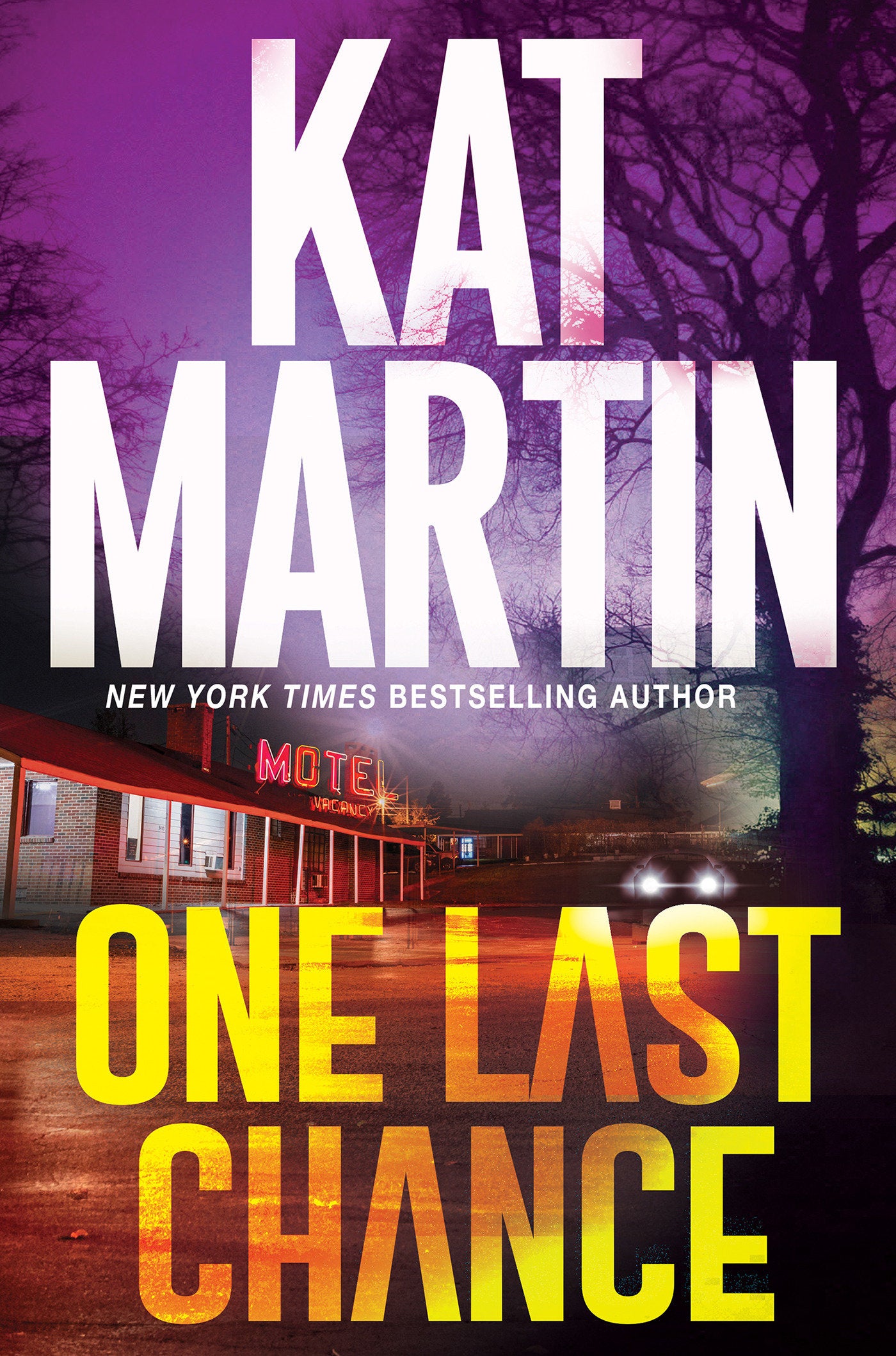 One Last Chance - A Thrilling Novel of Suspense (Blood Ties, The Logans) (Book:3)