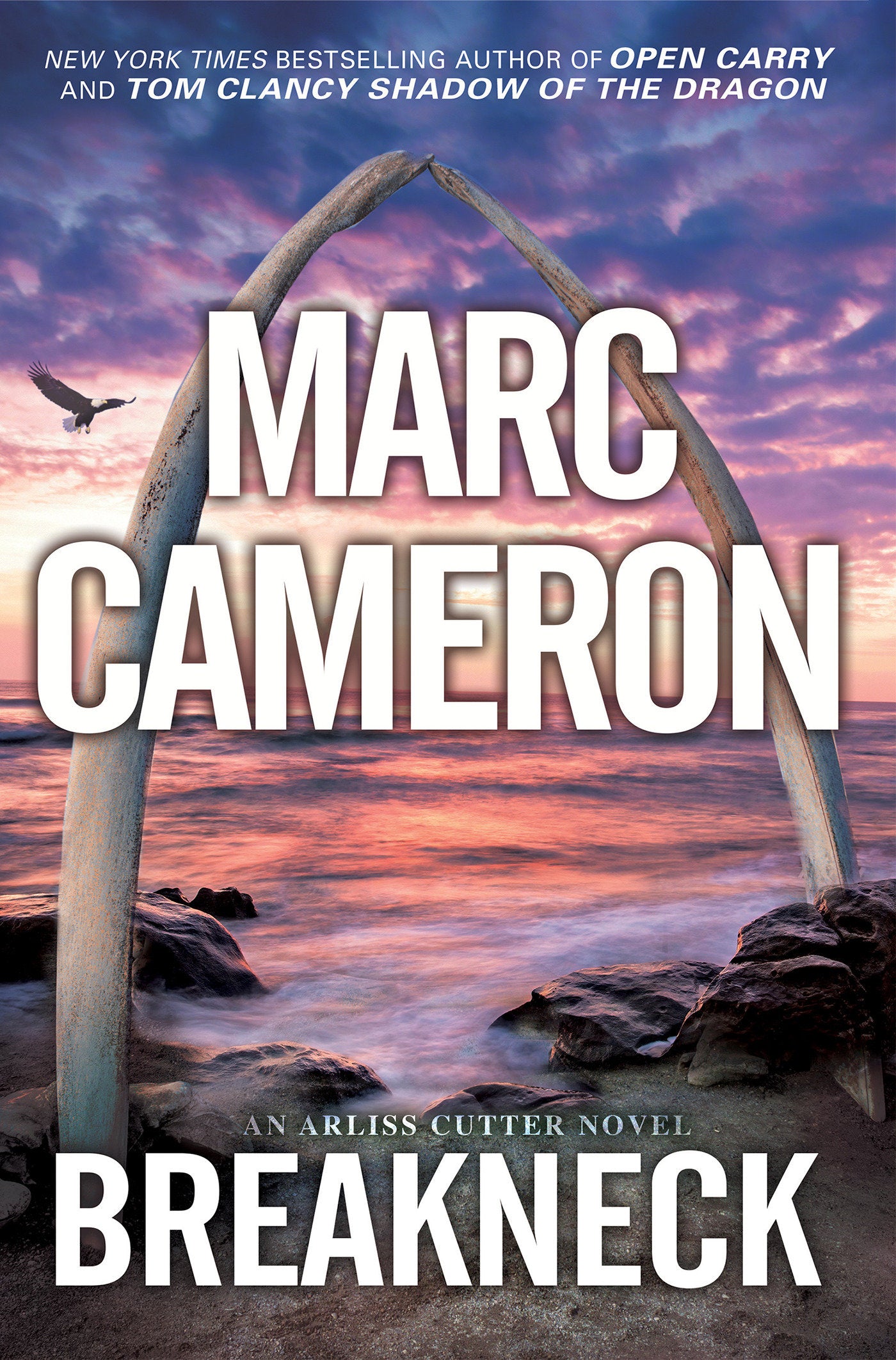Breakneck - A Captivating Novel of Suspense (An Arliss Cutter Novel) (Book:5)