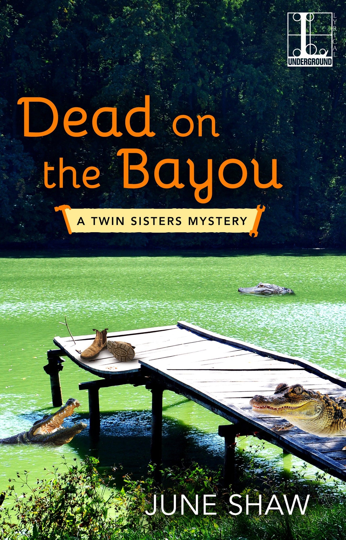 Dead on the Bayou (A Twin Sisters Mystery) (Book:2)