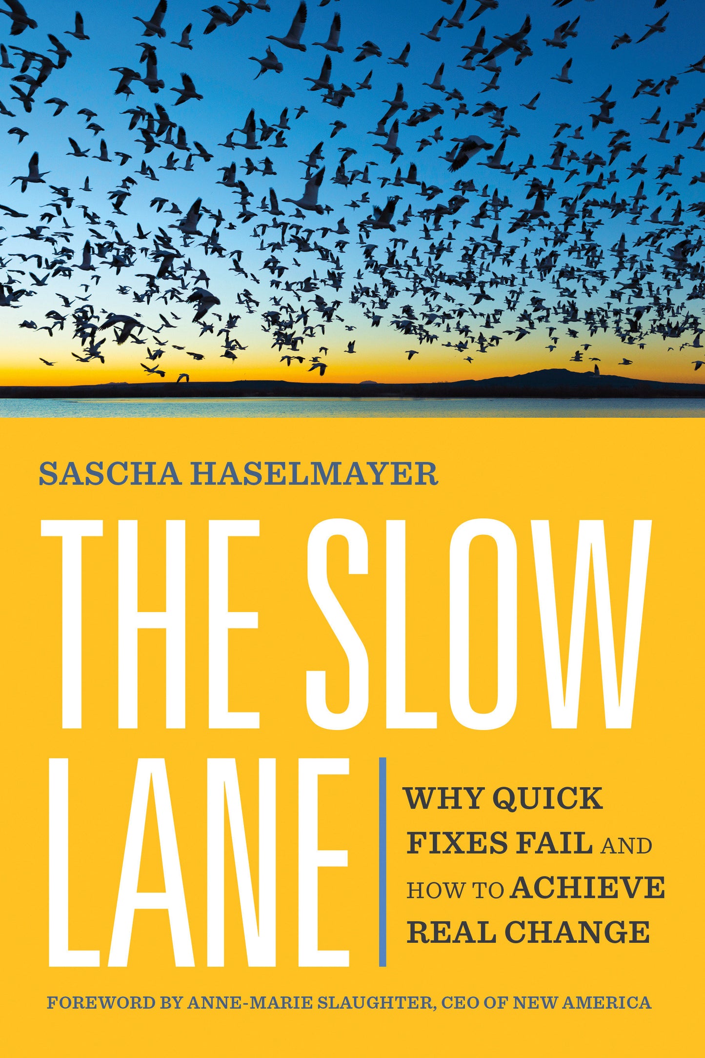 The Slow Lane - Why Quick Fixes Fail and How to Achieve Real Change