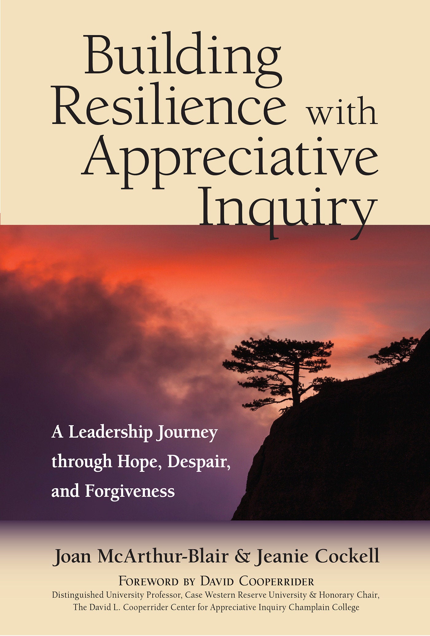 Building Resilience with Appreciative Inquiry� - A�Leadership Journey through Hope, Despair, and Forgiveness