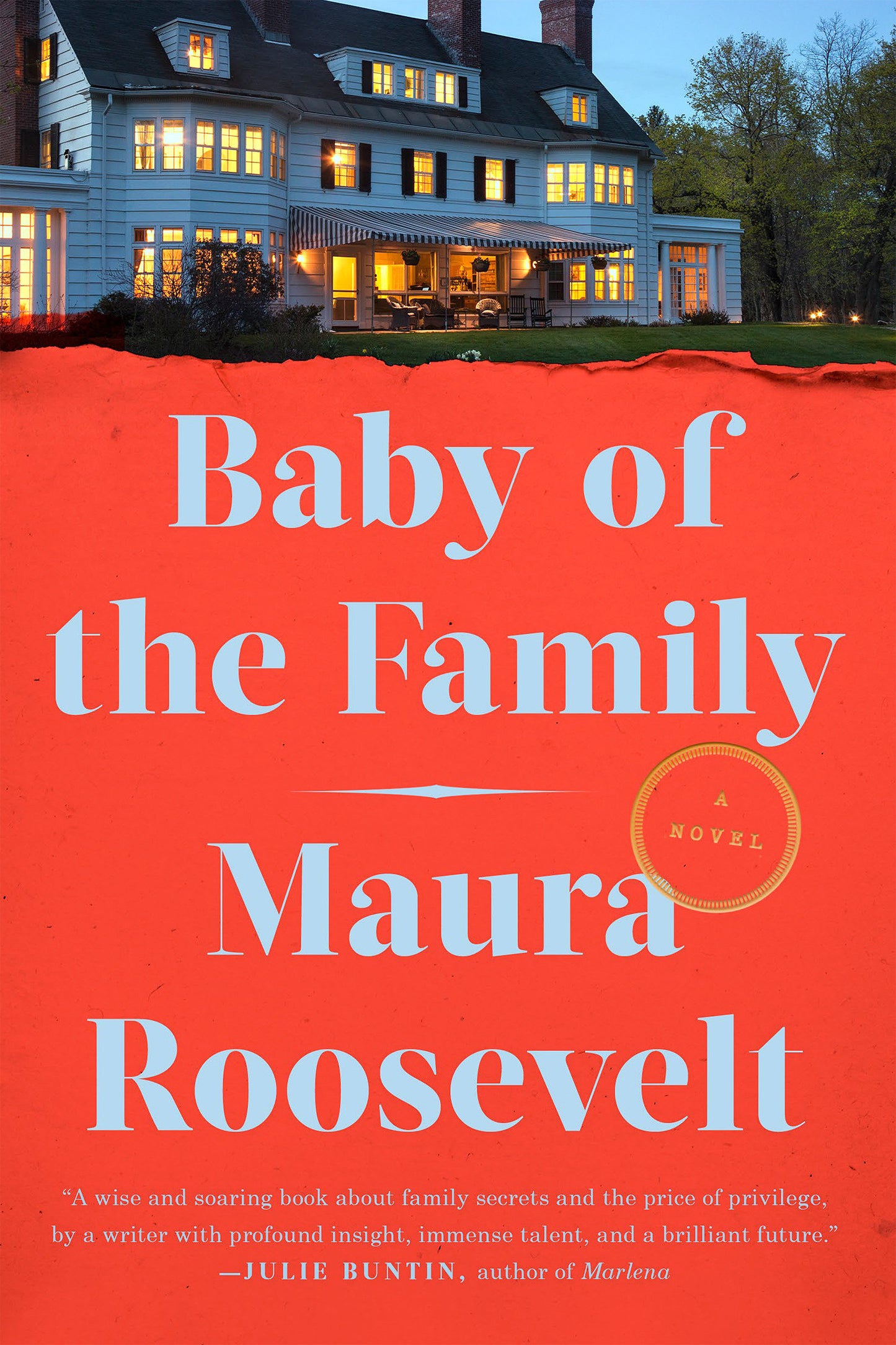 Baby of the Family - A Novel