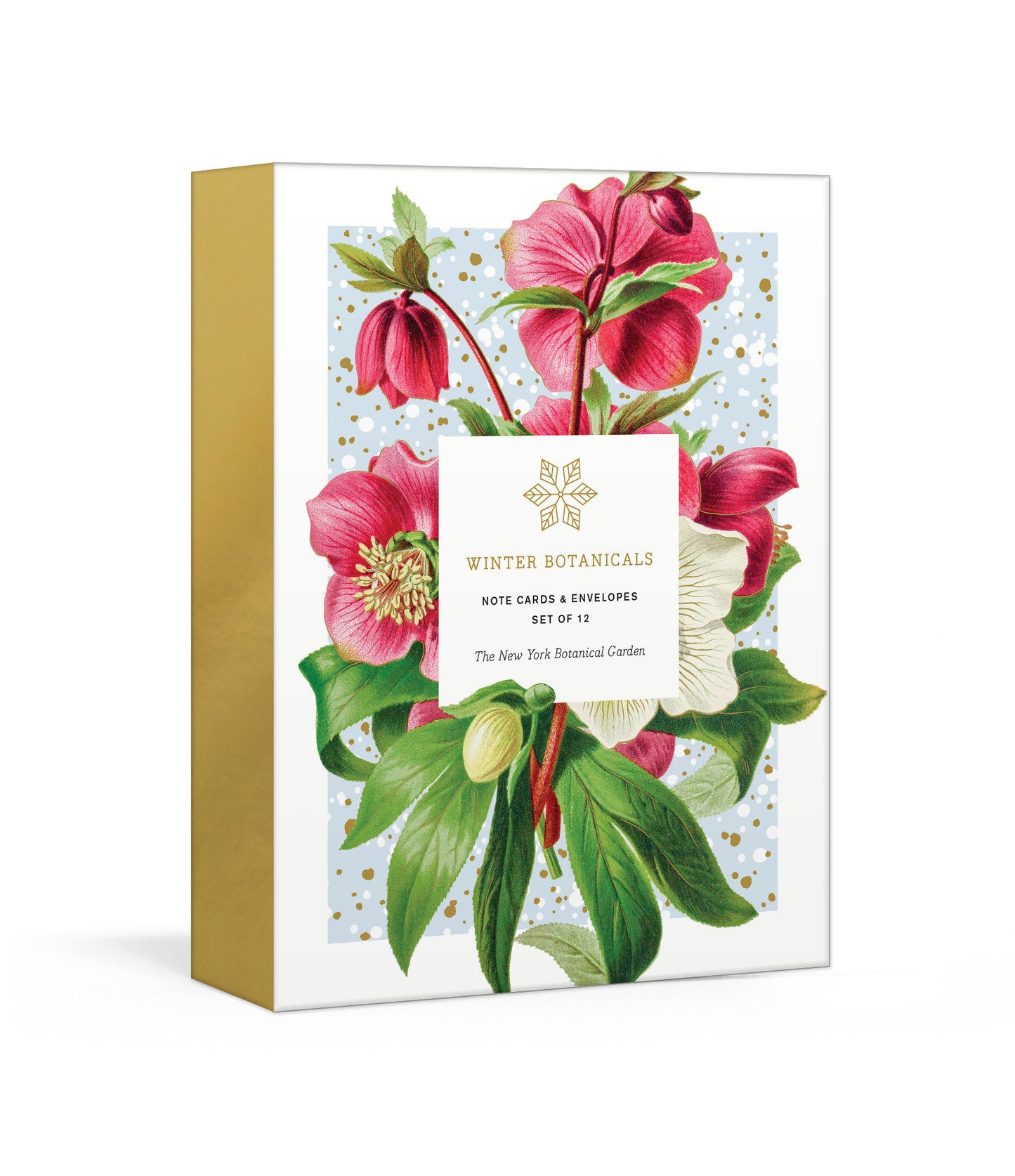 Winter Botanicals Note Cards - Note Cards and Envelopes: Set of 12 (New York Botanical Garden)
